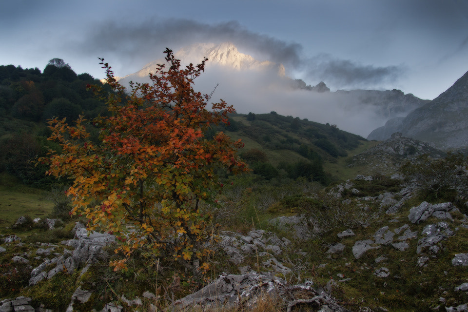 Sigma 18-125mm F3.8-5.6 DC OS HSM sample photo. Rincones photography