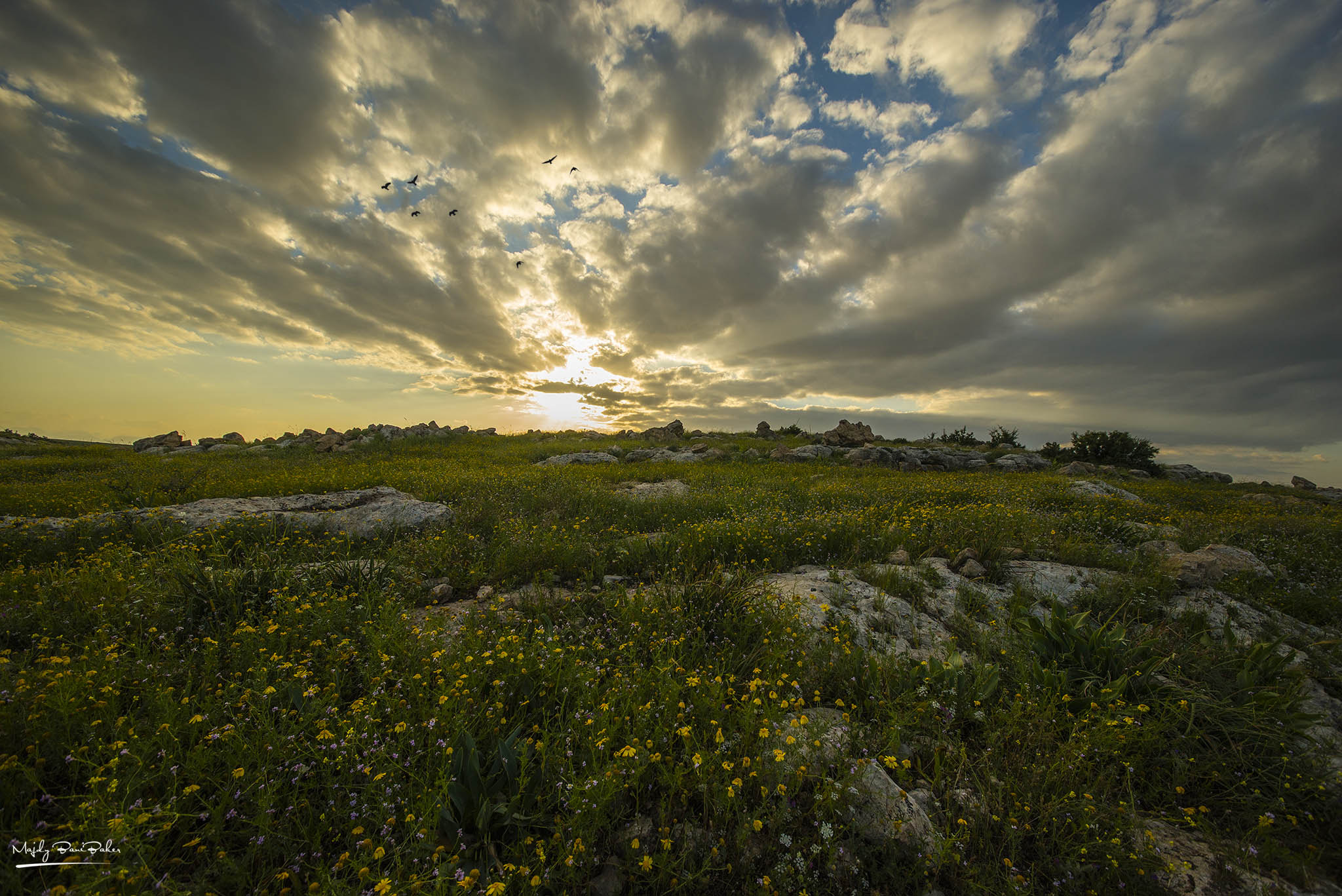Sigma 12-24mm F4.5-5.6 II DG HSM sample photo. Sunset of beauty photography