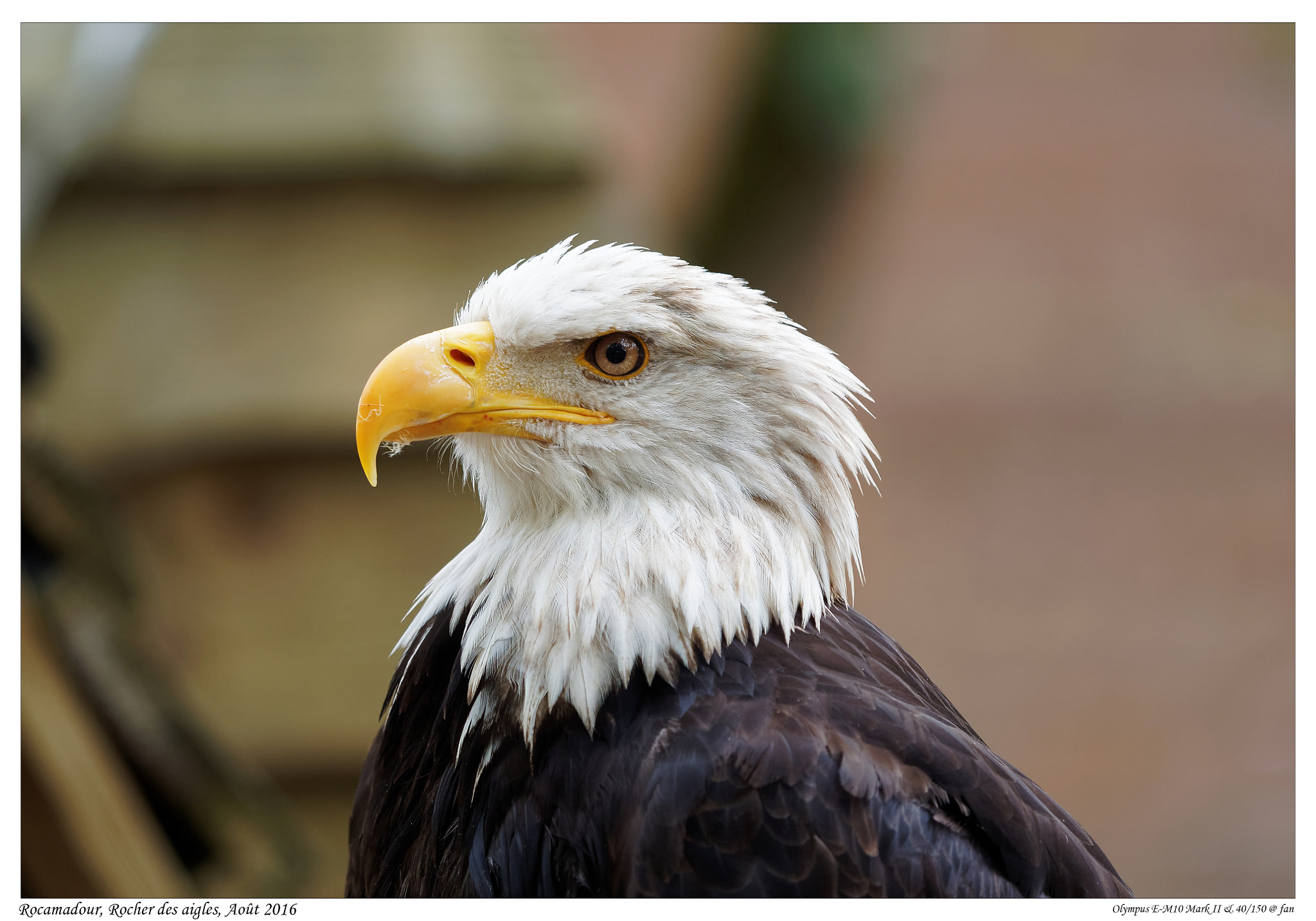 Olympus OM-D E-M10 II + Olympus M.Zuiko Digital ED 40-150mm F2.8 Pro sample photo. Rocher des aigles; rocamadour photography