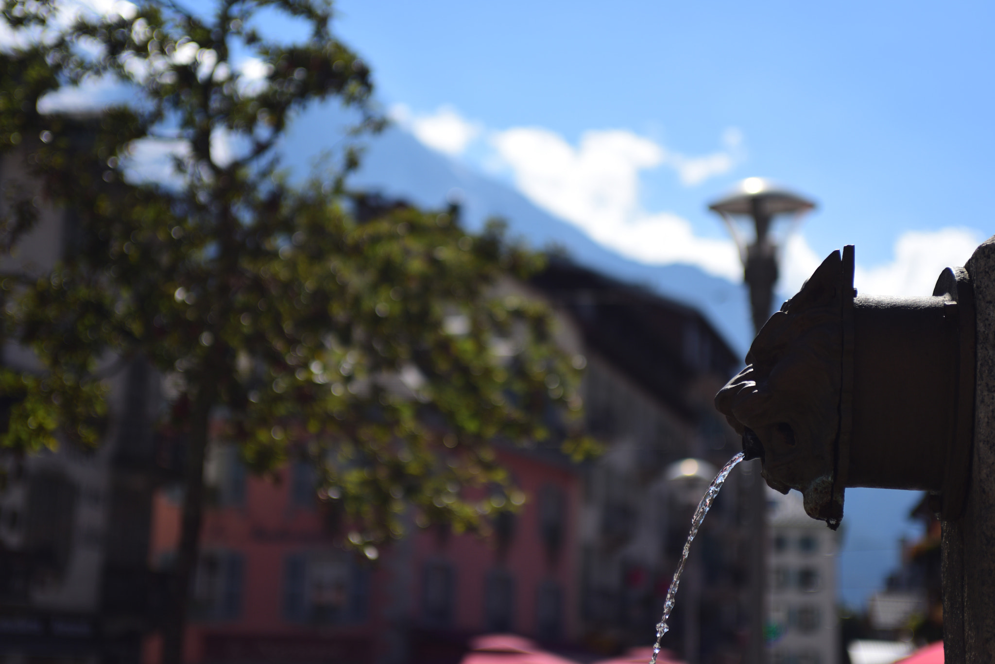 Nikon D810 + AF Zoom-Nikkor 35-70mm f/2.8D sample photo. Lion in chamonix photography