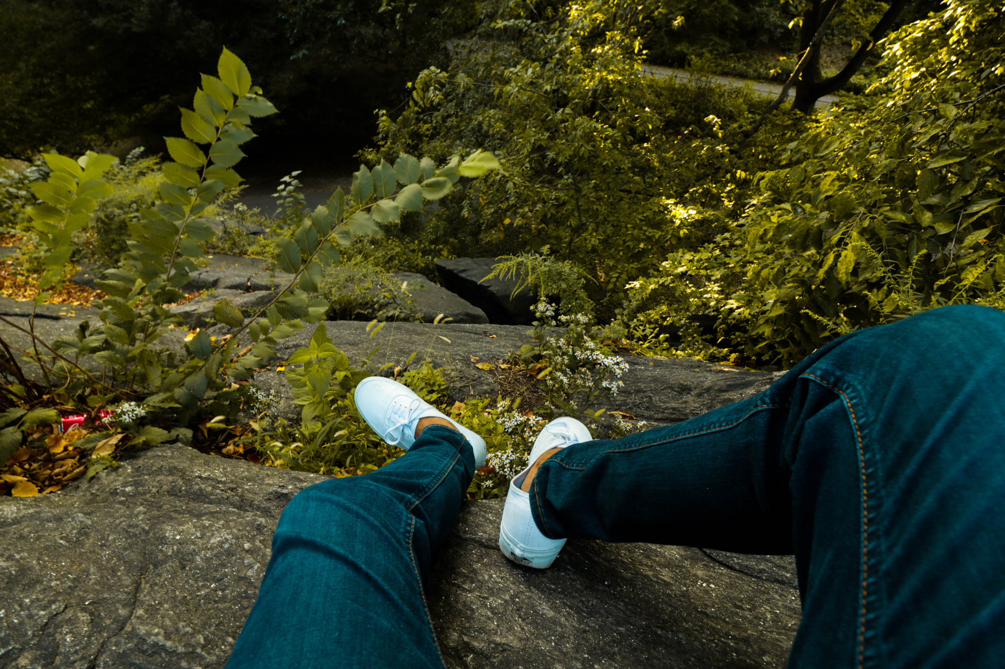 Canon EOS 750D (EOS Rebel T6i / EOS Kiss X8i) sample photo. Central park views photography