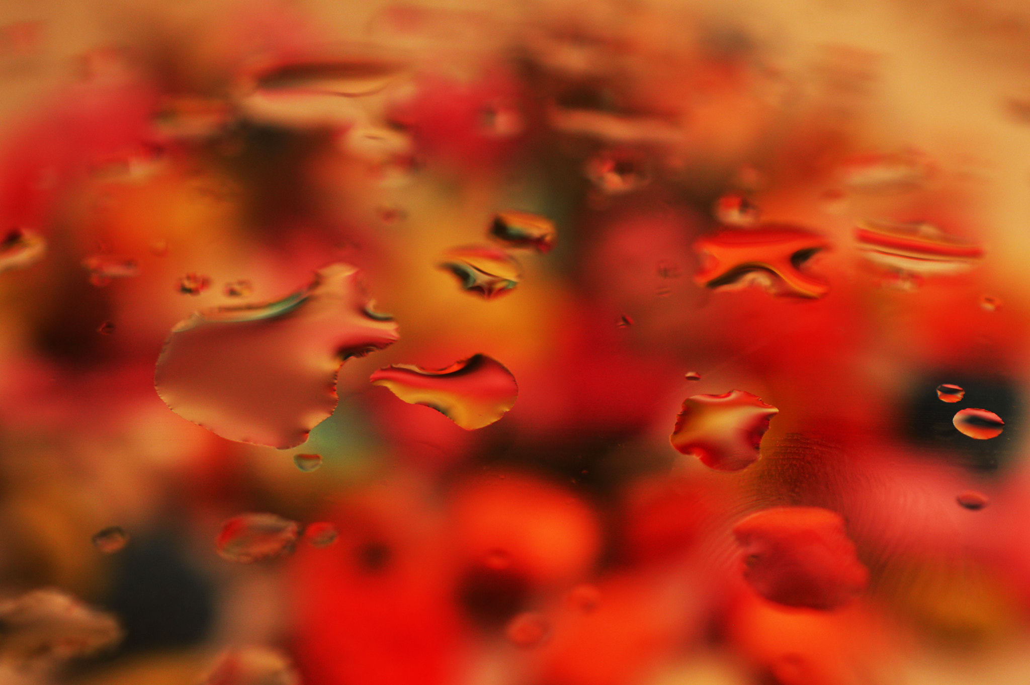 Nikon AF-S Nikkor 500mm F4D ED-IF II sample photo. Droplets on my soul <3 photography