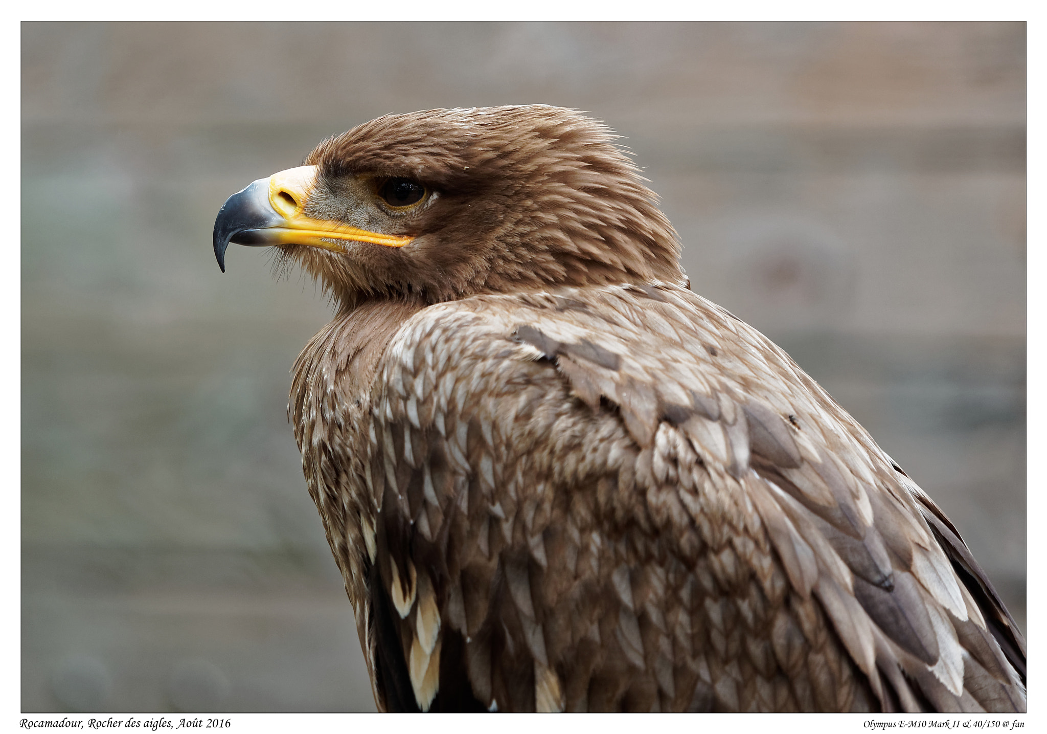 Olympus OM-D E-M10 II + Olympus M.Zuiko Digital ED 40-150mm F2.8 Pro sample photo. Rocher des aigles; rocamadour photography