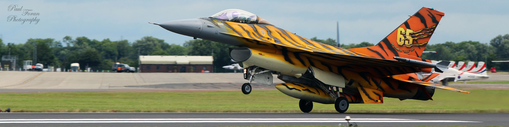 Canon EF 70-200mm F2.8L IS II USM sample photo. Landing falcon photography