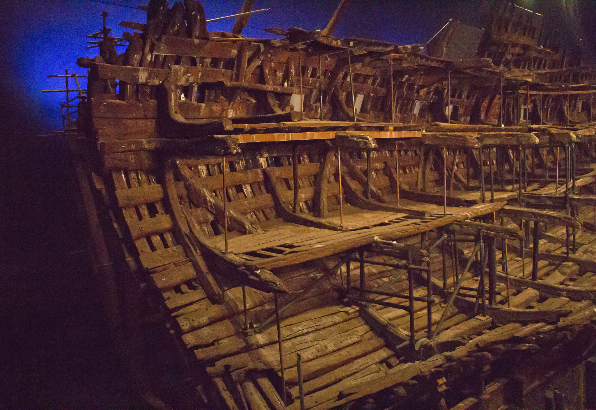 Canon EOS 60D + Canon EF-S 18-135mm F3.5-5.6 IS USM sample photo. The mary rose. photography