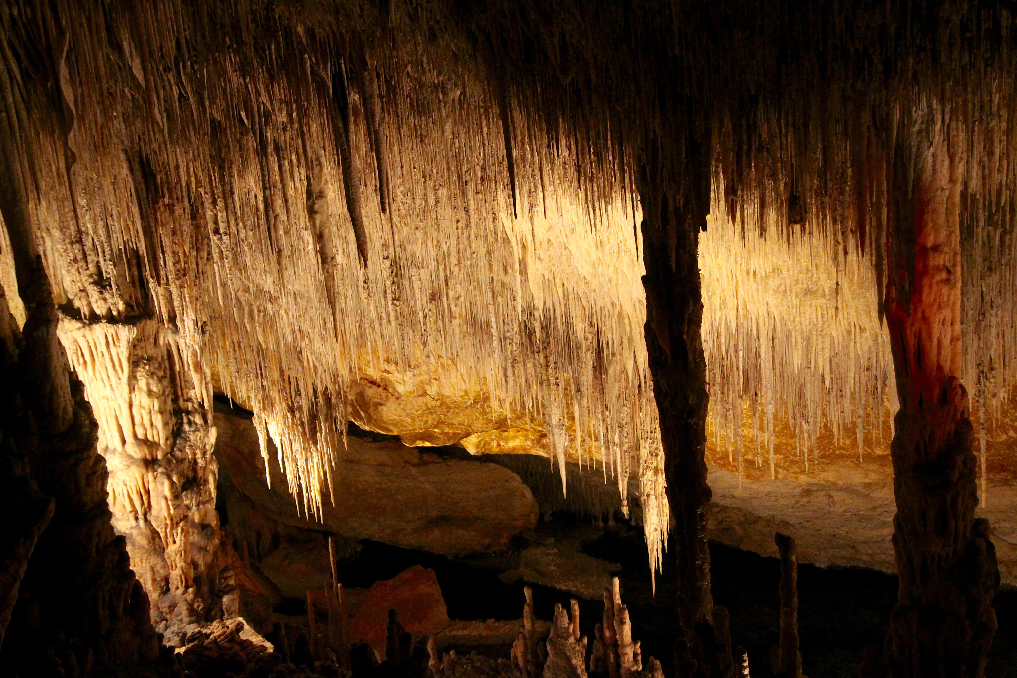 Tamron SP AF 17-50mm F2.8 XR Di II LD Aspherical (IF) sample photo. Cueva photography
