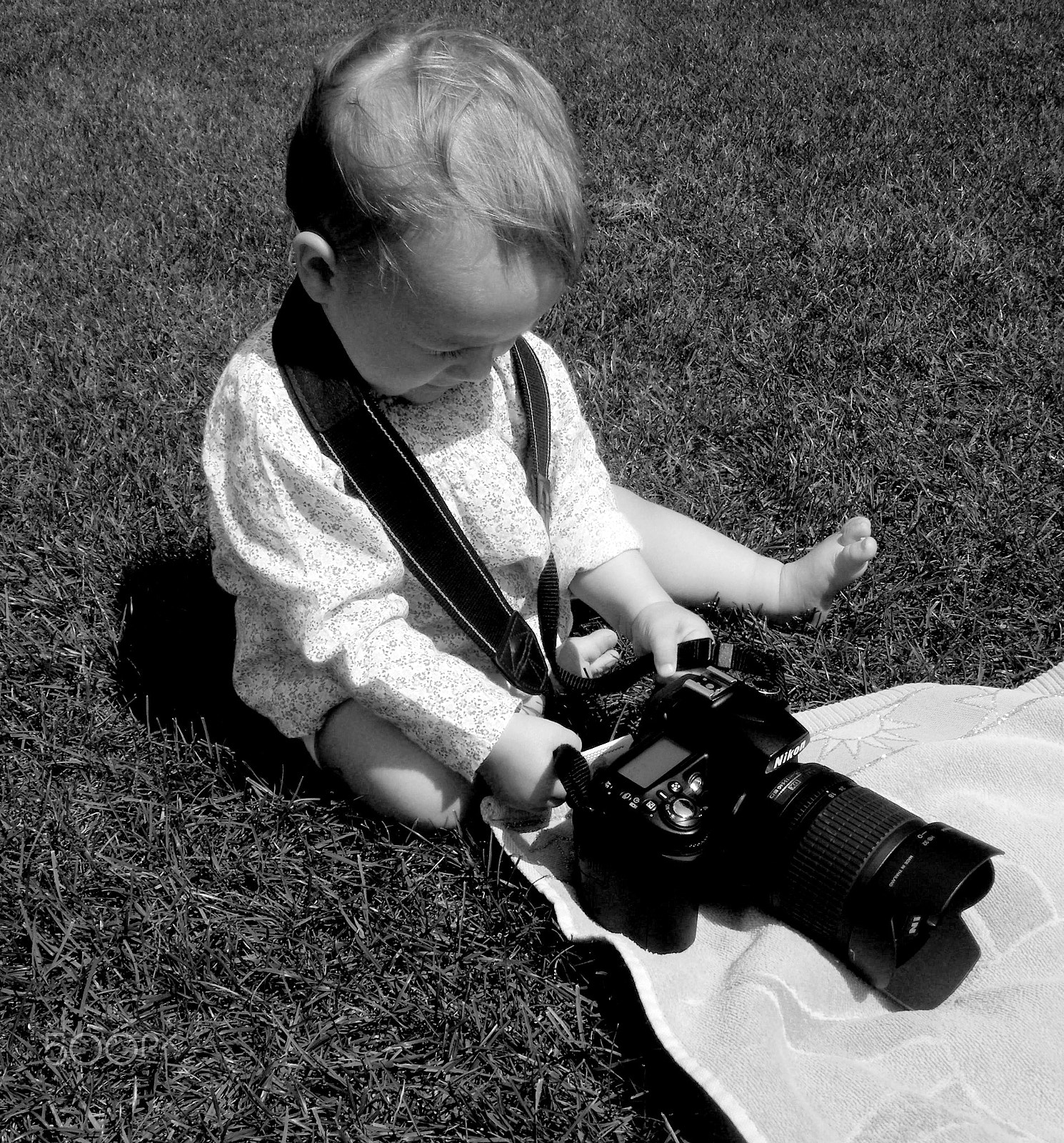 Pentax Optio M60 sample photo. Piccole leve crescono (sofia) photography