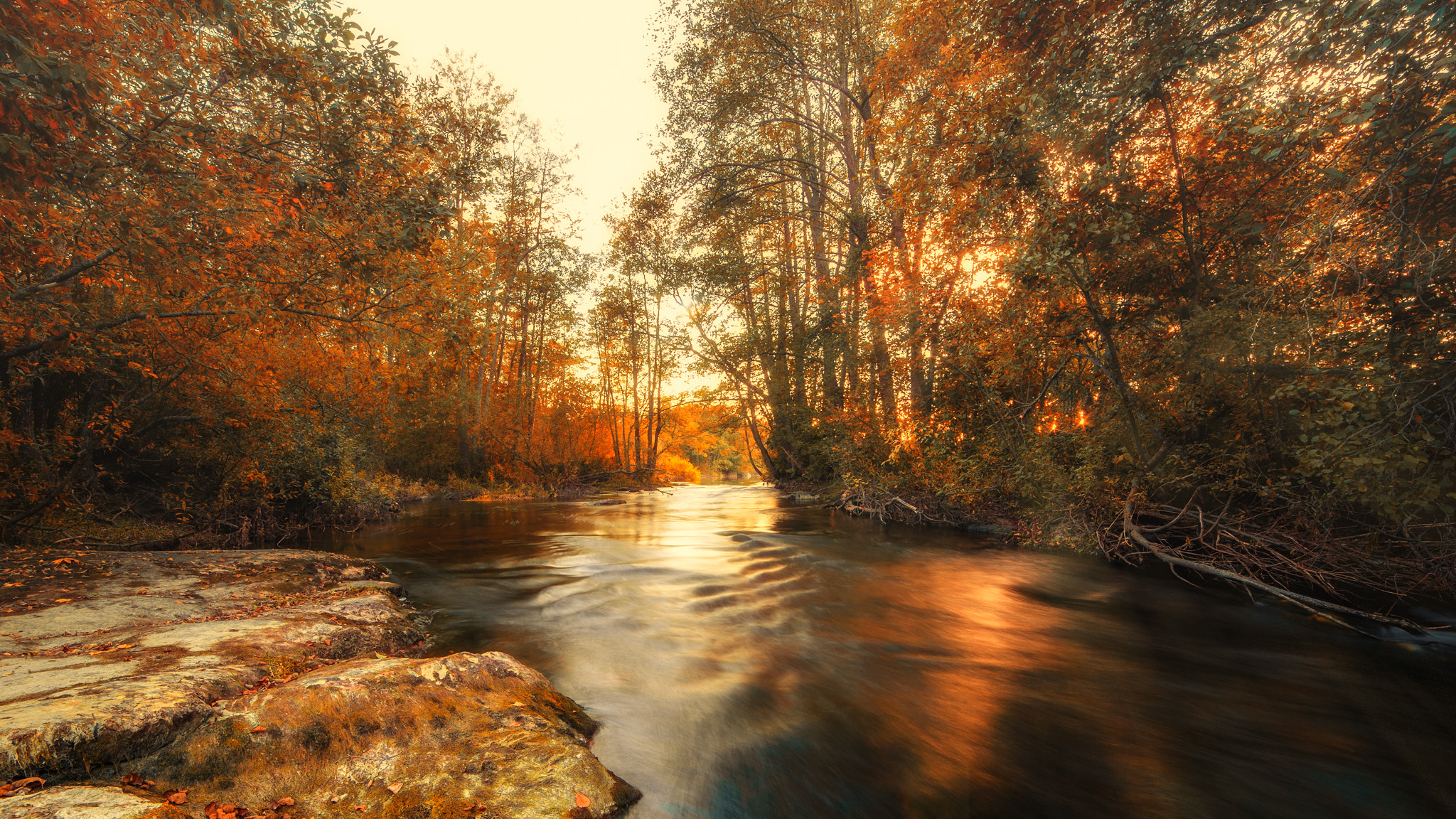 Nikon D3 sample photo. The river photography