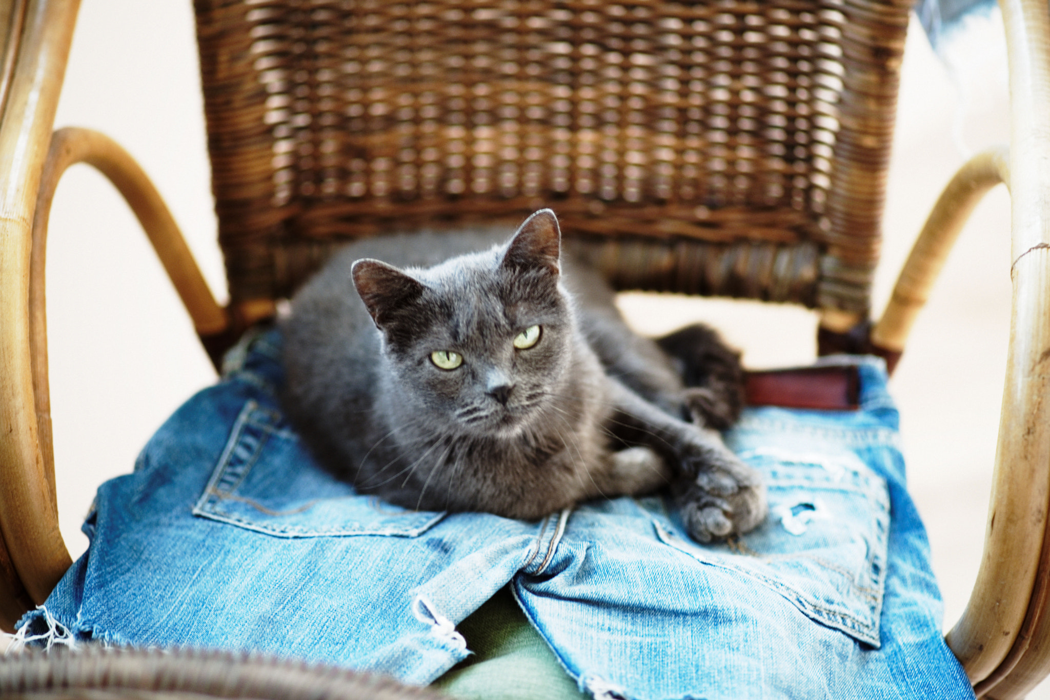 Minolta AF 100mm F2 sample photo. Vesper photography