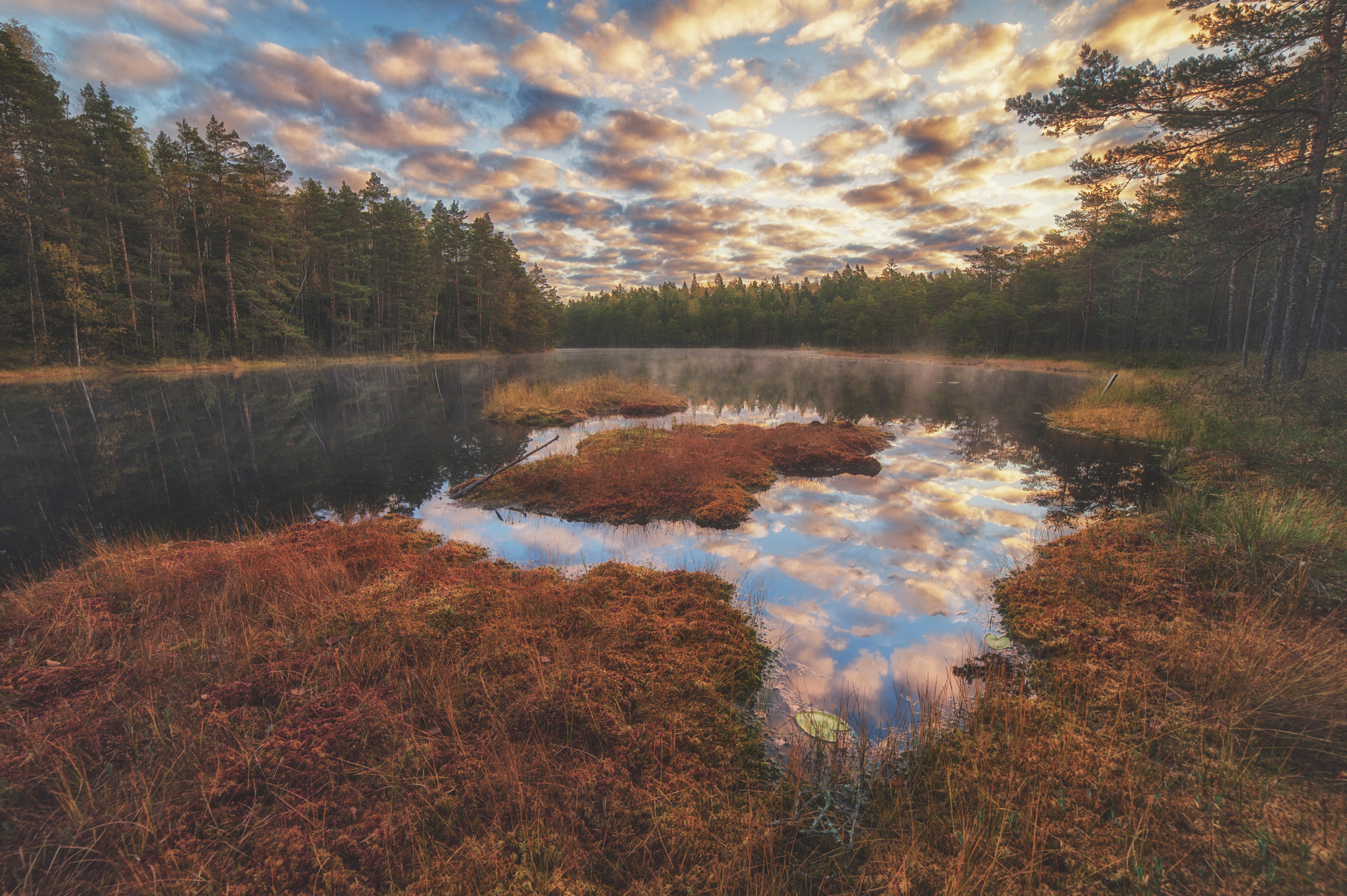 Samyang 14mm F2.8 ED AS IF UMC sample photo. Fall sunrise photography
