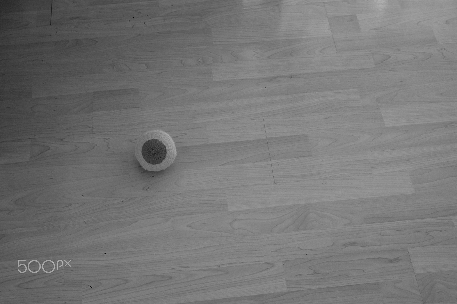 Sony a6000 + Sony Sonnar T* FE 35mm F2.8 ZA sample photo. On the ground. photography