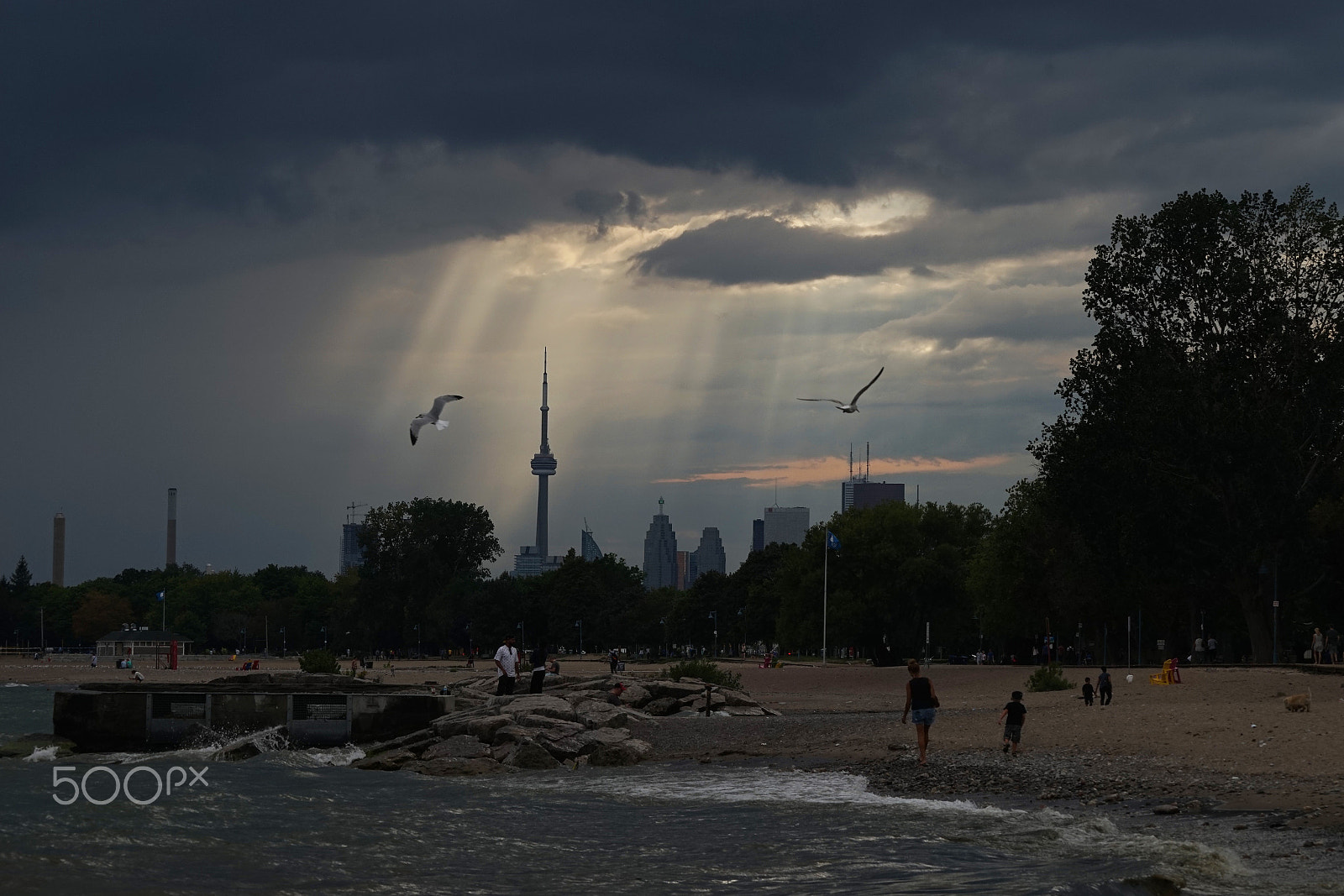 Sony a7 + Sony FE 70-200mm F4 G OSS sample photo. Toronto beaches photography