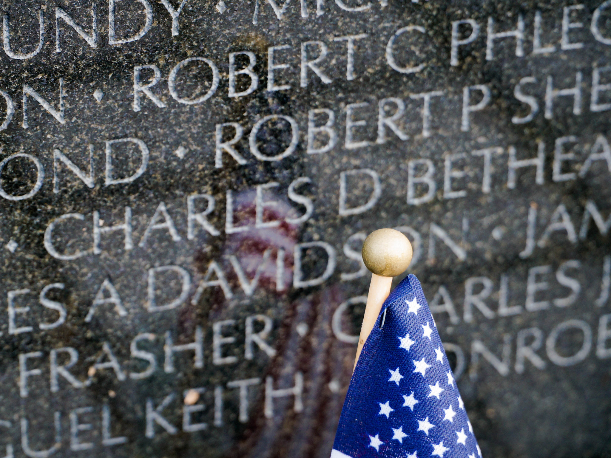 Sony Alpha NEX-6 + Sony E PZ 18-105mm F4 G OSS sample photo. Vietnam war memorial in early morning 2 photography