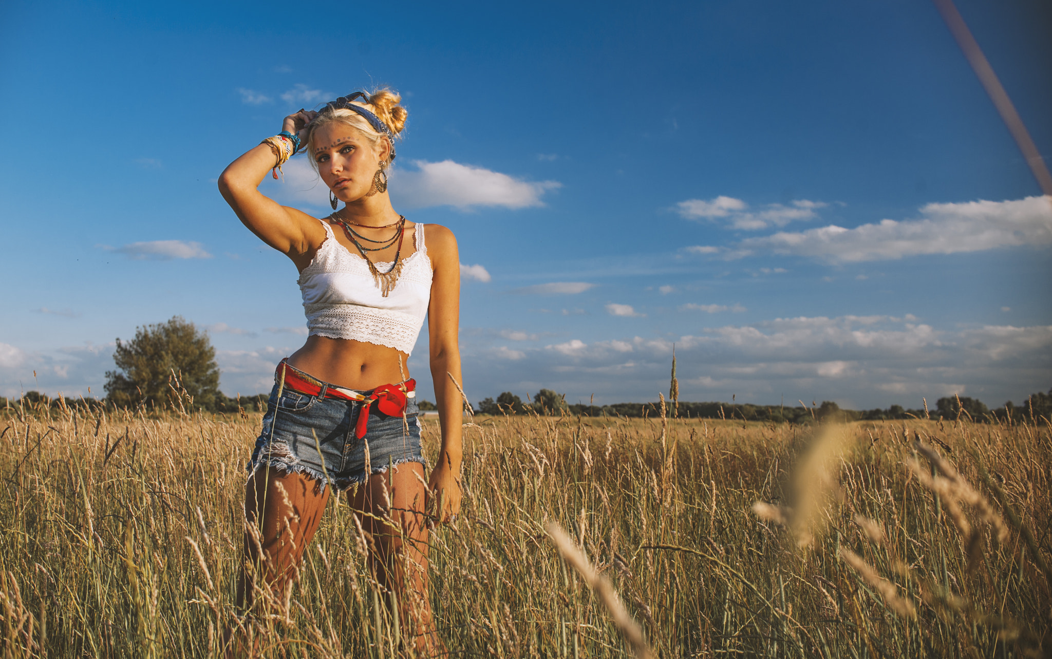 Nikon D700 + Nikon AF-S DX Nikkor 35mm F1.8G sample photo. Emma strolling through the hay at sunset photography