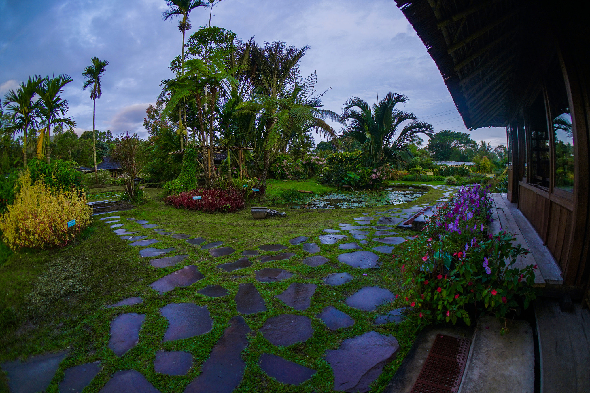 Sony a7R II + Sony E 16mm F2.8 sample photo