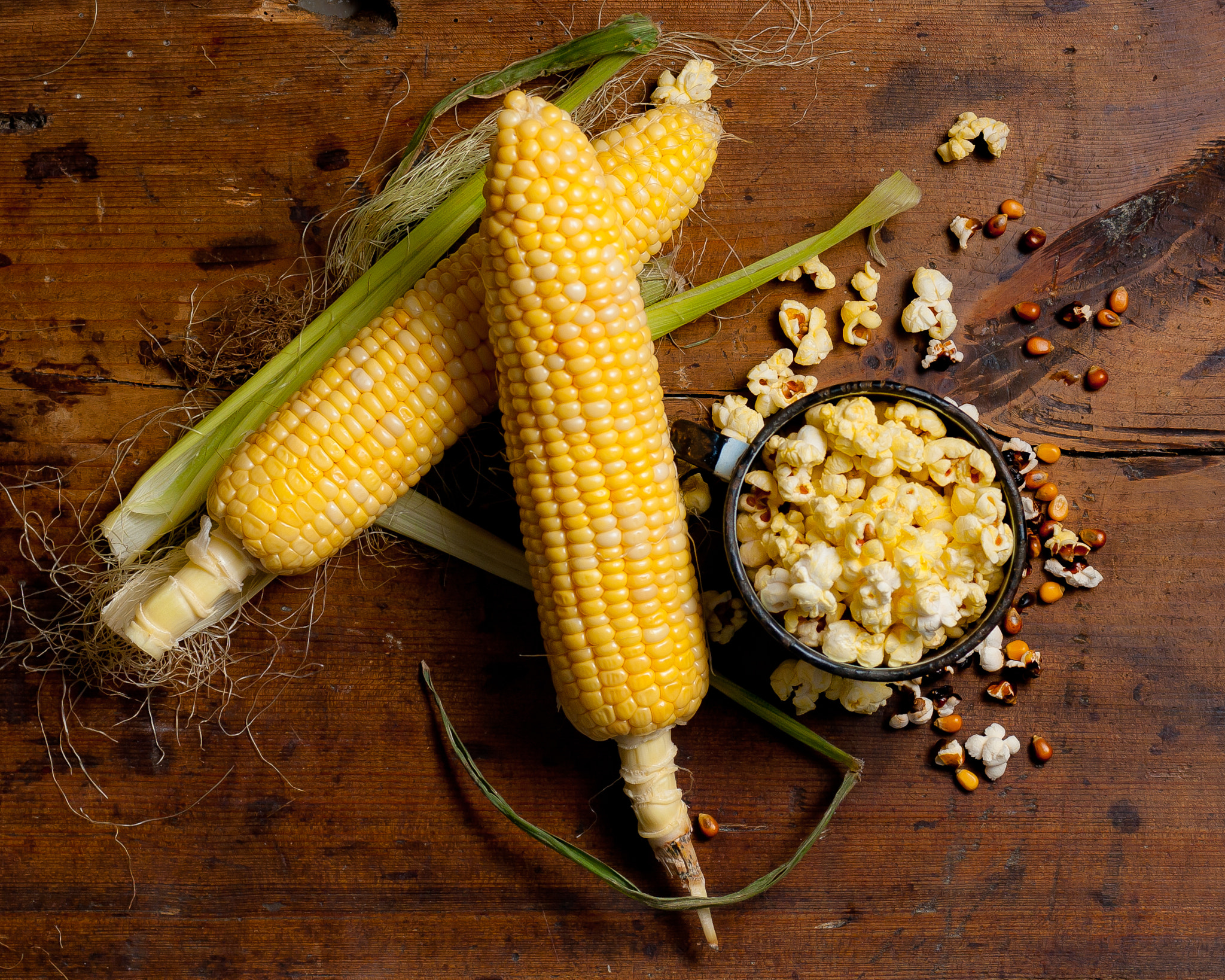 Nikon AF Nikkor 50mm F1.4D sample photo. Corn photography