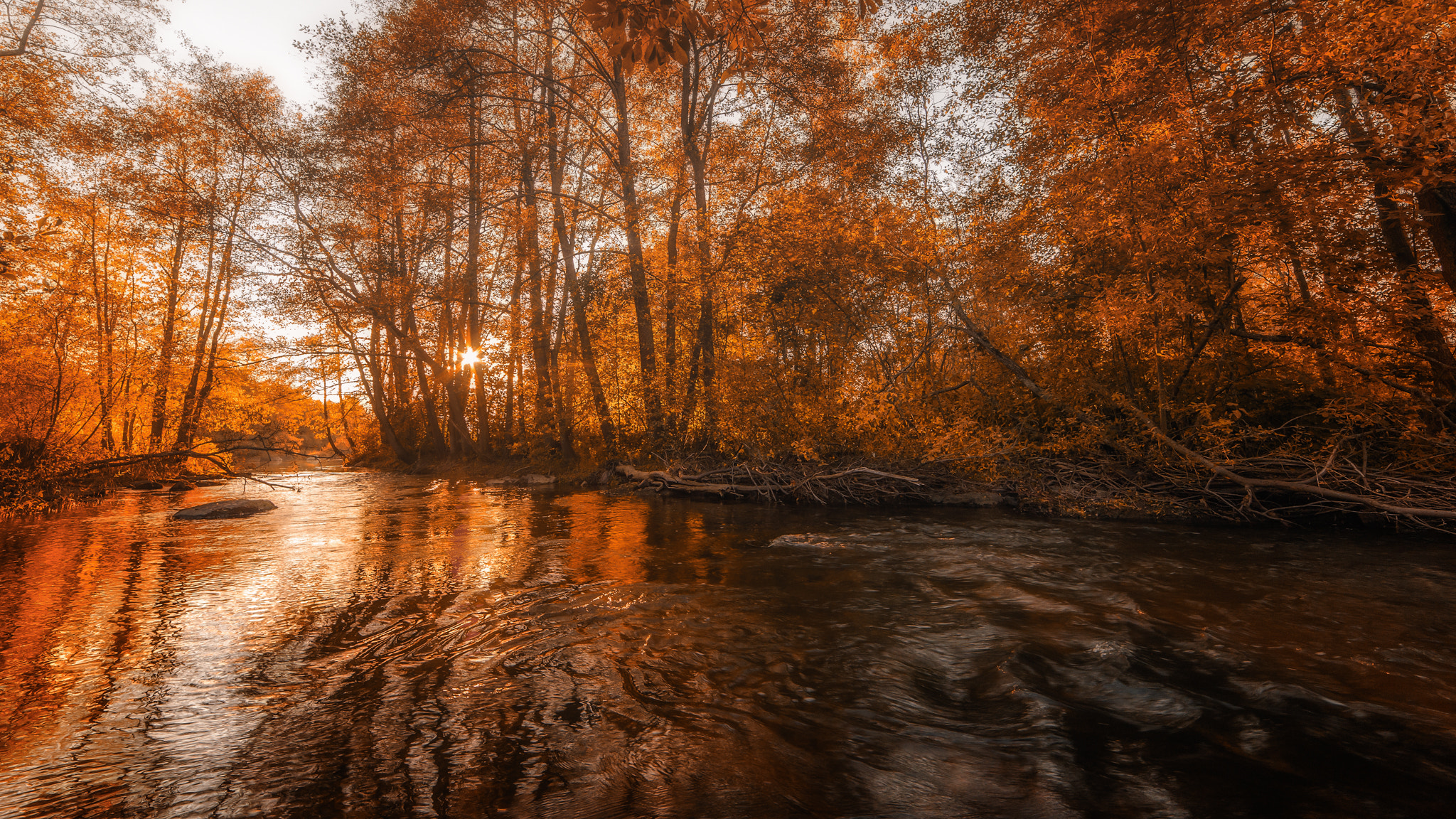 Nikon D3 sample photo. Autumn is here photography