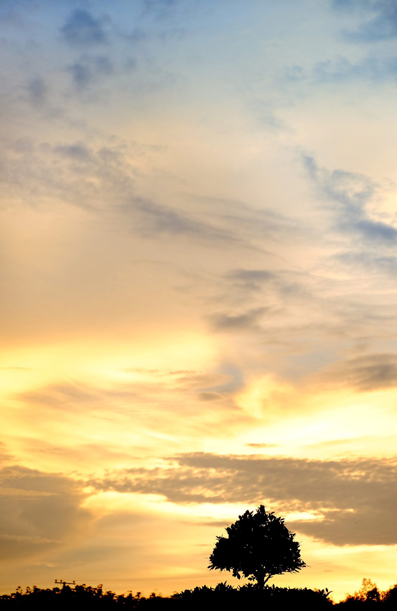 Fujifilm X-E2 + Fujifilm XC 50-230mm F4.5-6.7 OIS II sample photo. Lonely tree at the sunset photography