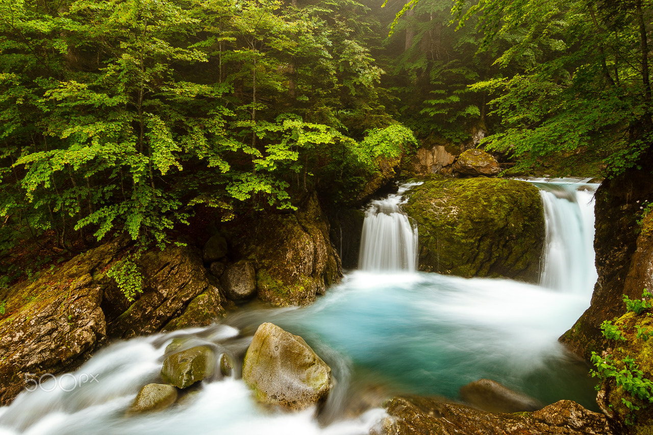 Tokina AT-X Pro 12-24mm F4 (IF) DX sample photo. Guardader dera aigua photography
