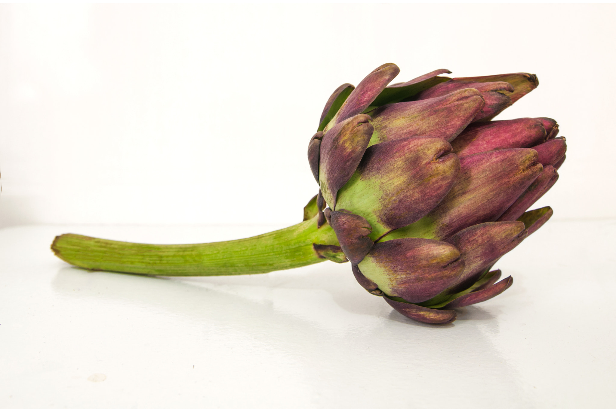 Nikon D300 + Sigma 18-50mm F2.8 EX DC Macro sample photo. Alcachofa photography