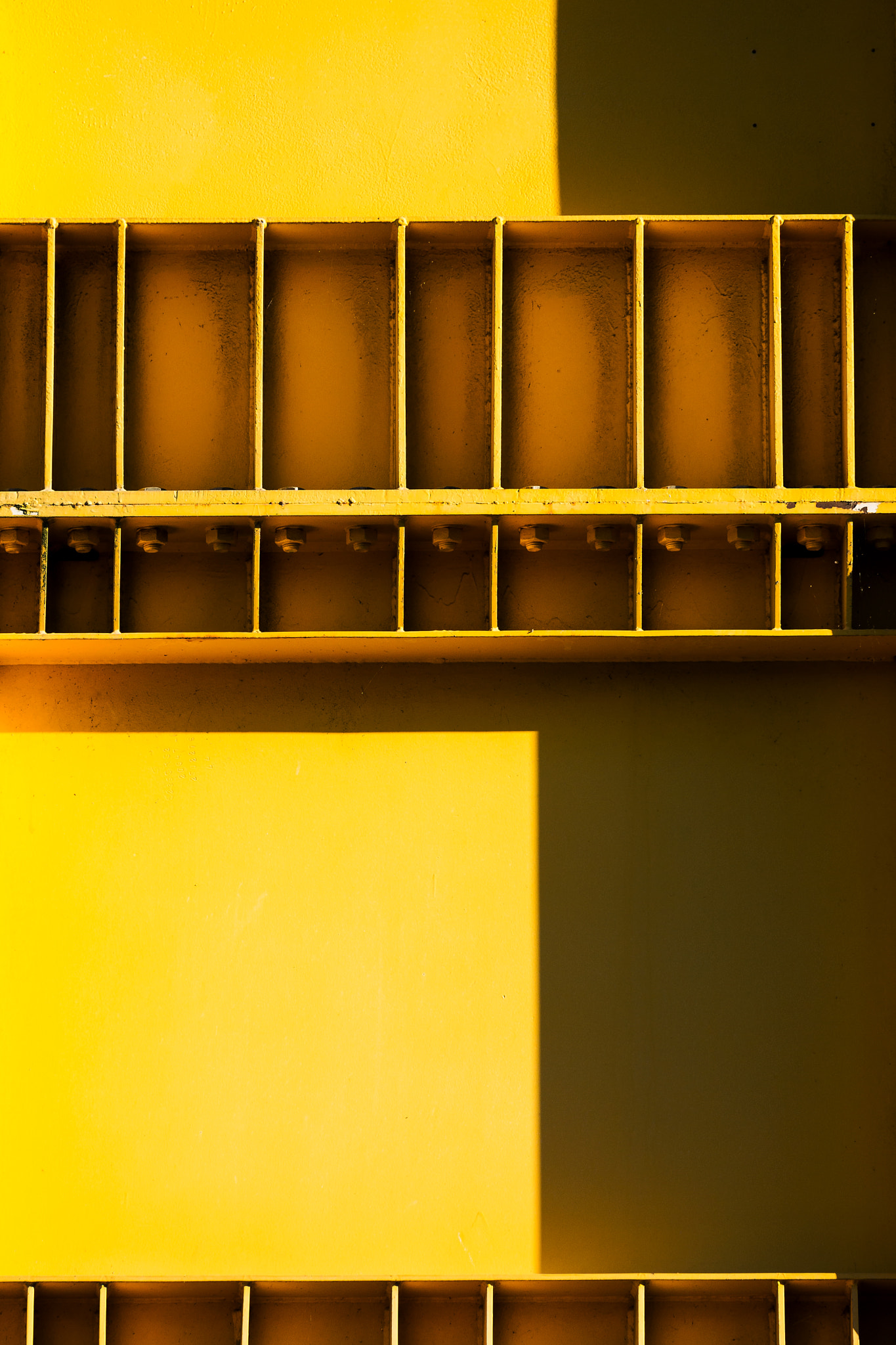 Sony 70-400mm F4-5.6 G SSM II sample photo. All in yellow photography