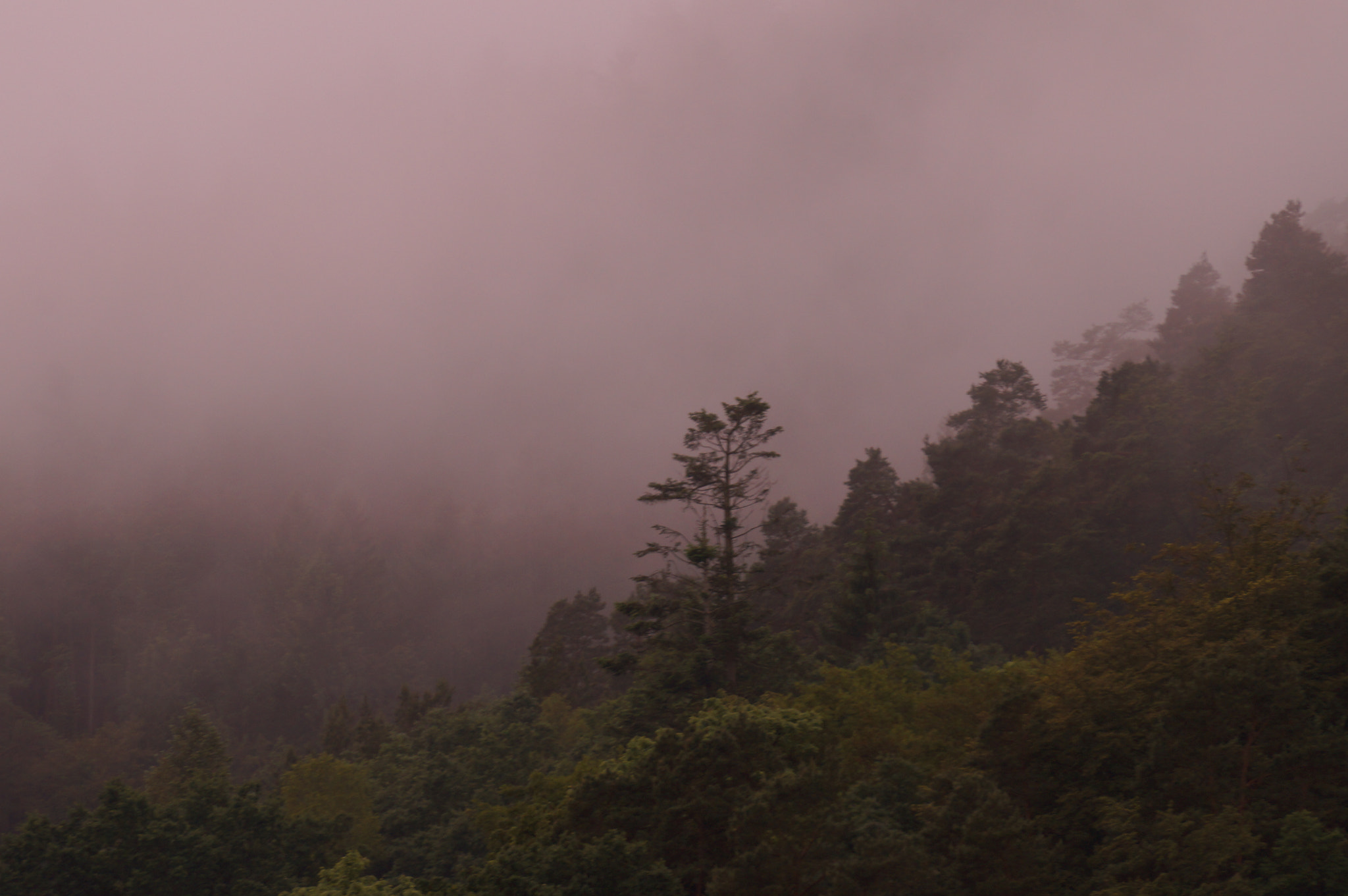 Sony SLT-A37 sample photo. Xxx photography