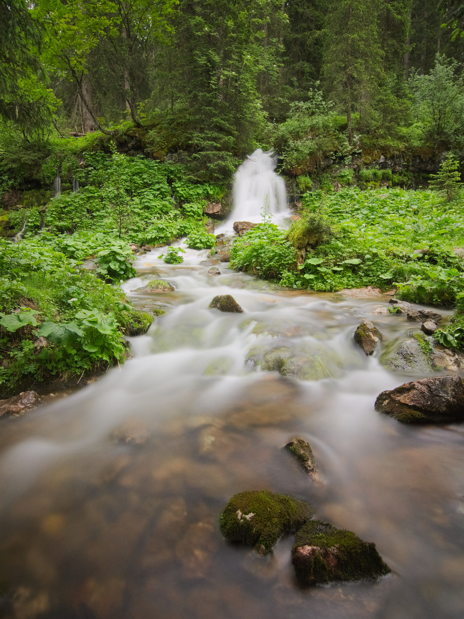 Sony SLT-A58 + 20mm F2.8 sample photo. Solitude photography