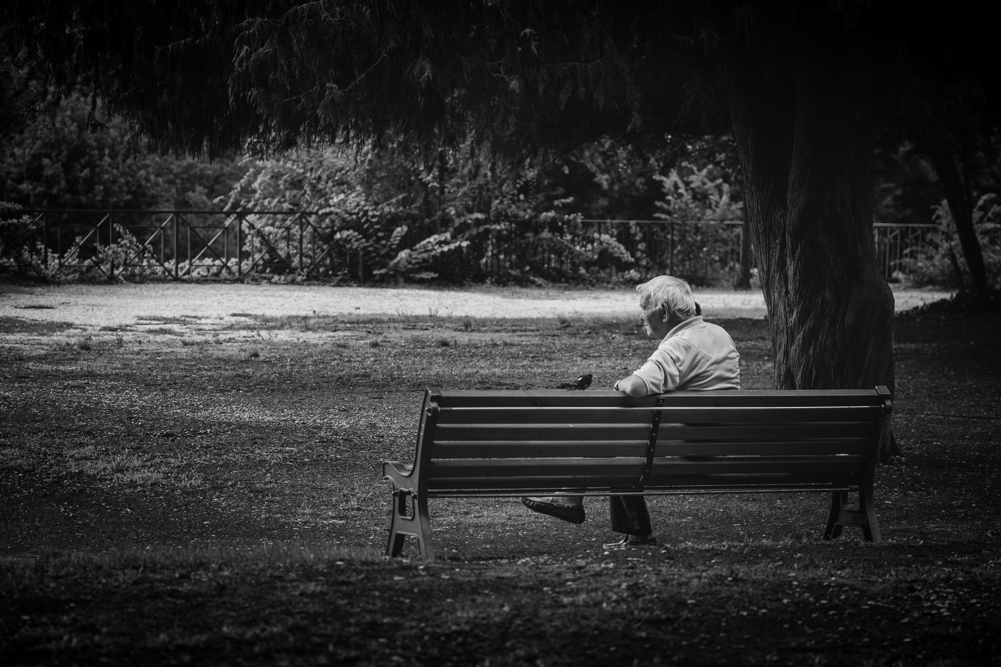 Fujifilm X-Pro2 + Fujifilm XF 50-140mm F2.8 R LM OIS WR sample photo. Street of rome photography