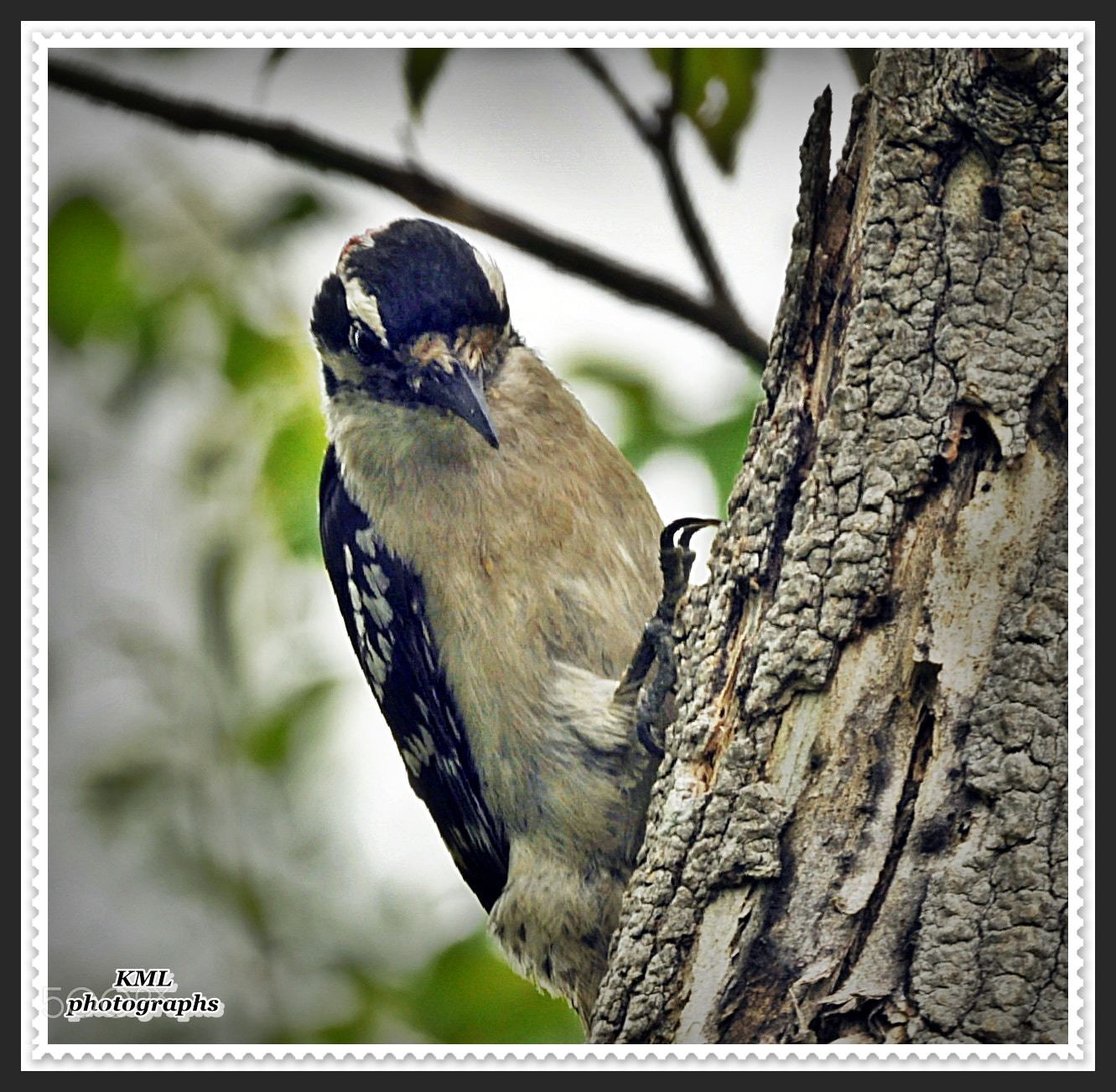 Nikon D5000 sample photo. I'm working here! photography