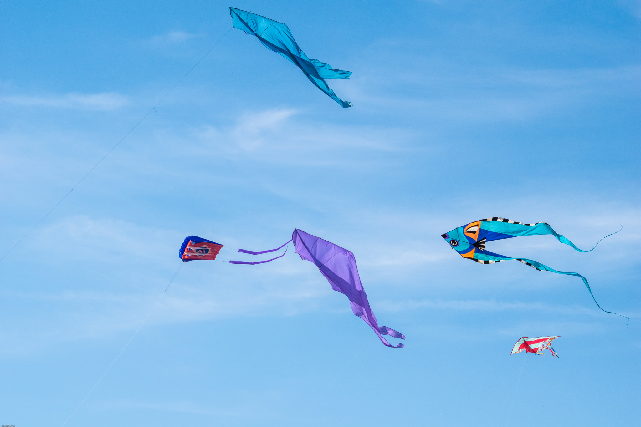 Sigma 70-300mm F4-5.6 APO DG Macro sample photo. Kites photography