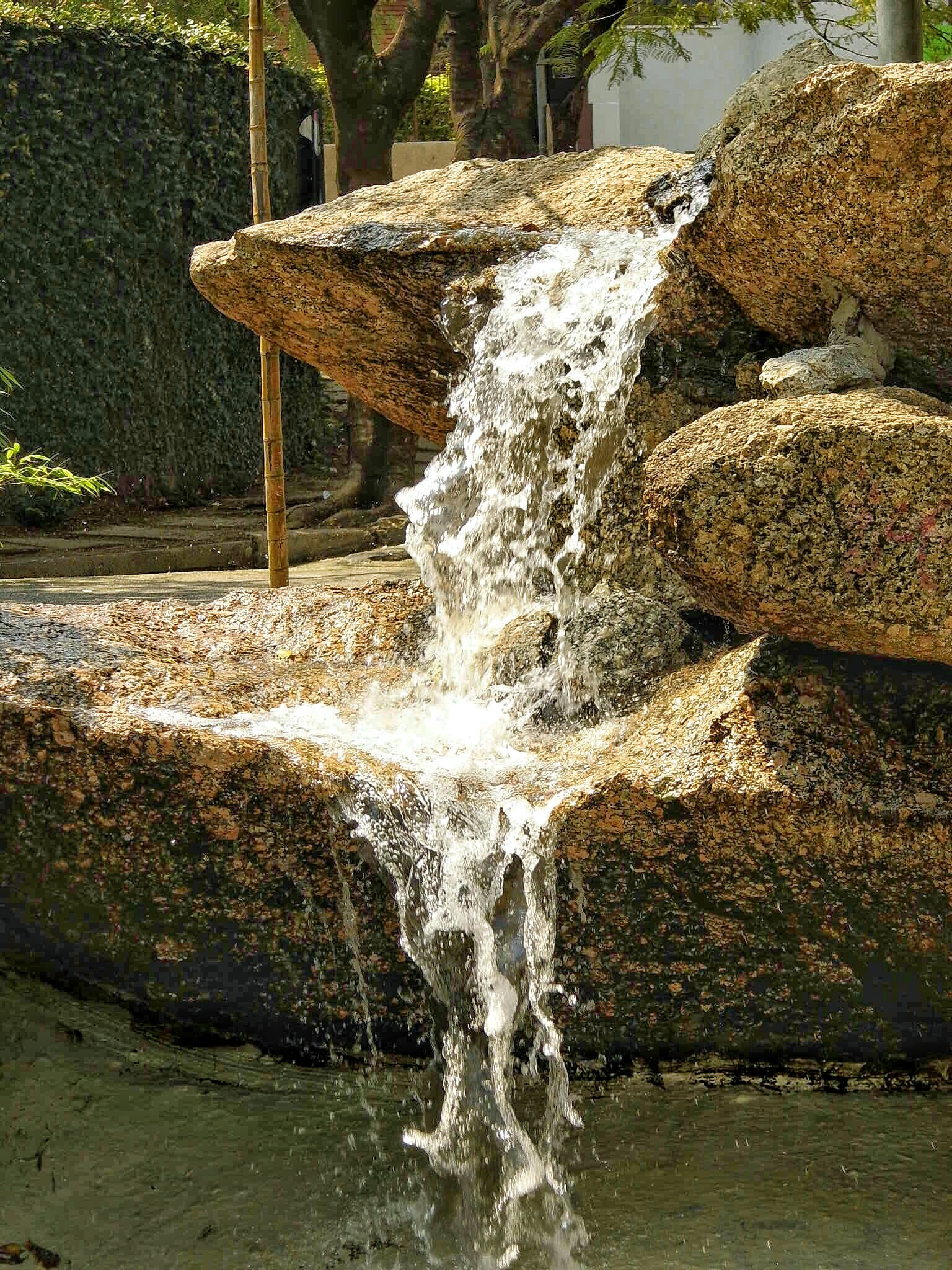 Benq GH600 sample photo