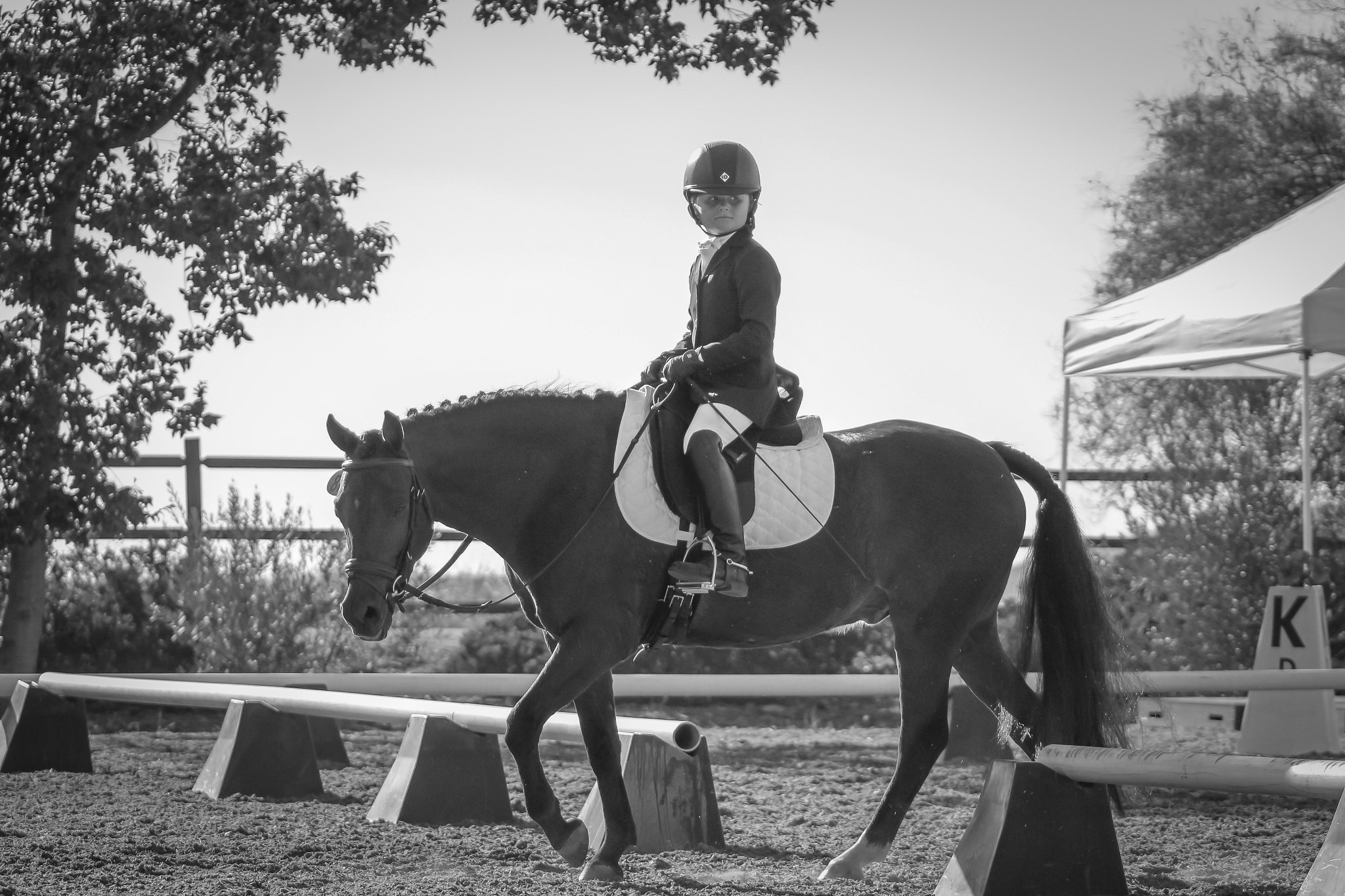 Canon EOS 100D (EOS Rebel SL1 / EOS Kiss X7) sample photo. Dressage eyes photography
