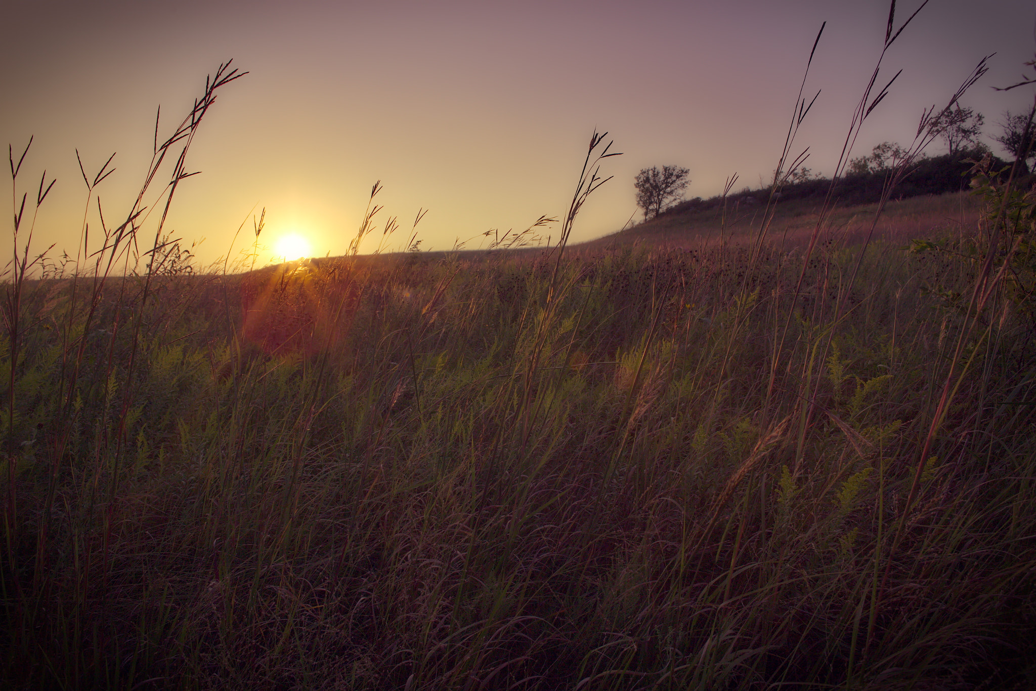 Canon EOS 6D + Canon EF 24mm f/1.4L sample photo. Prairie sunset photography