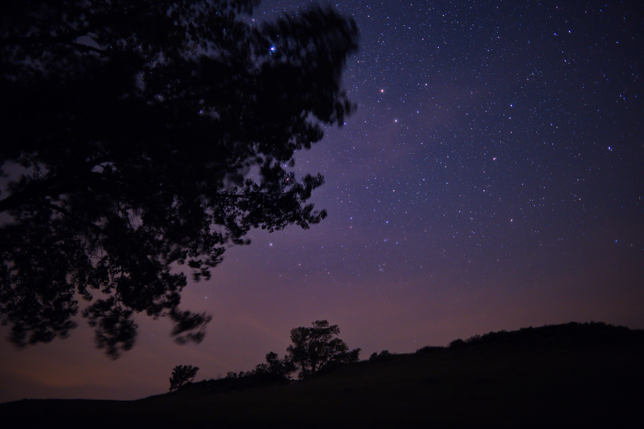 Canon EOS 6D + Canon EF 24mm f/1.4L sample photo. Under the stars photography