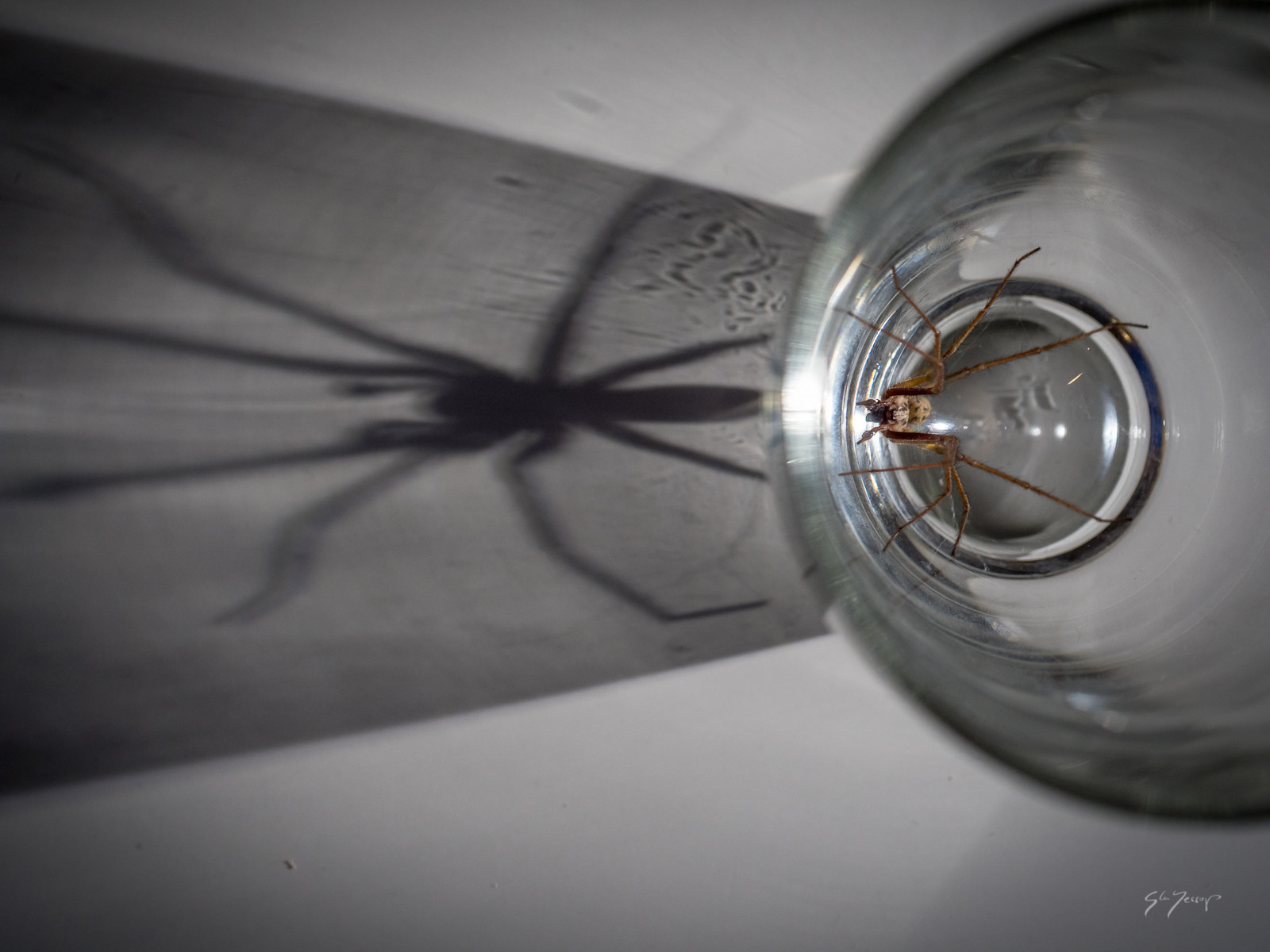 Panasonic Lumix DMC-GX8 sample photo. Me & my shadow photography