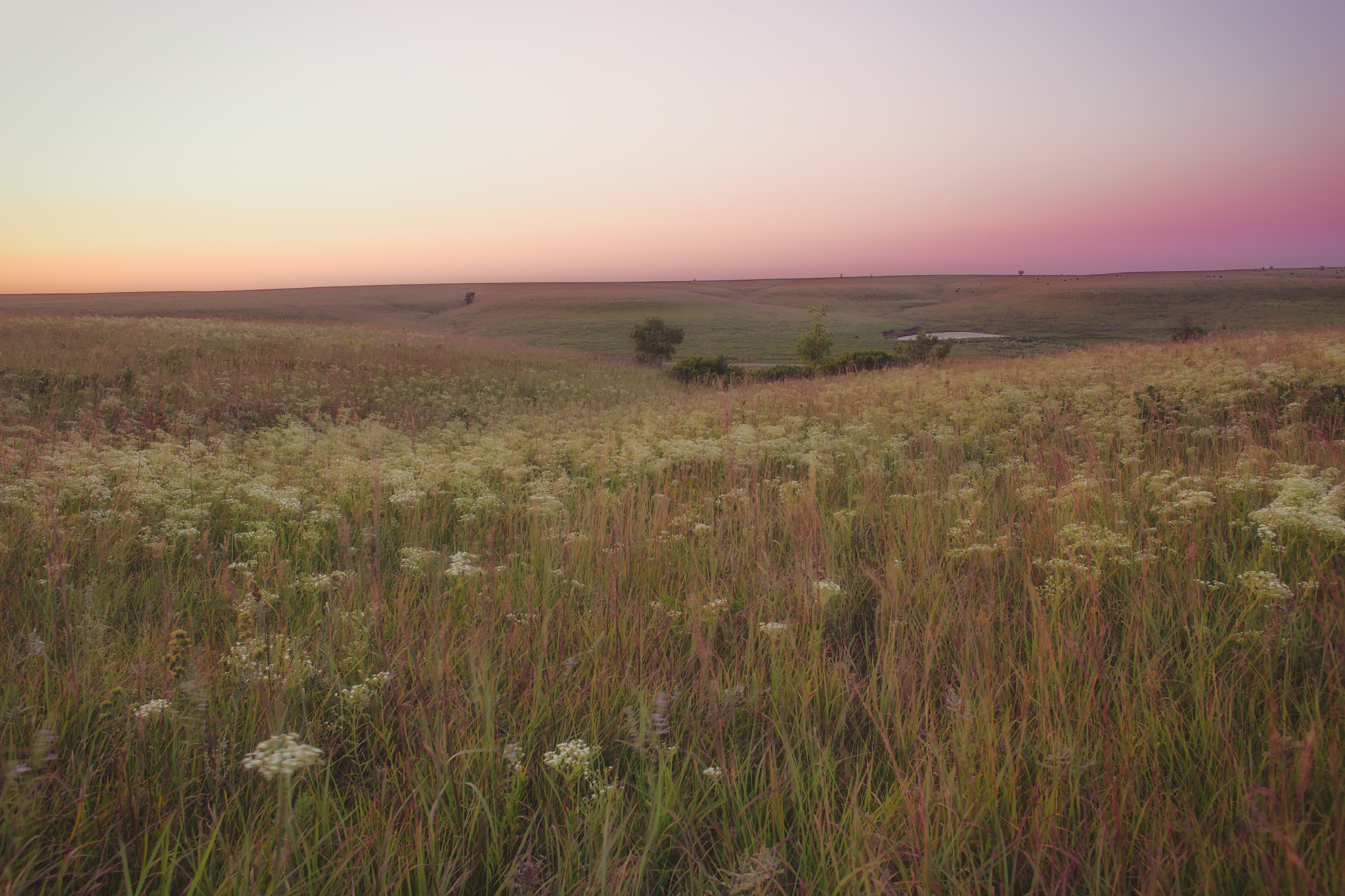 Canon EOS 6D + Canon EF 24mm f/1.4L sample photo. Tallgrass praire photography