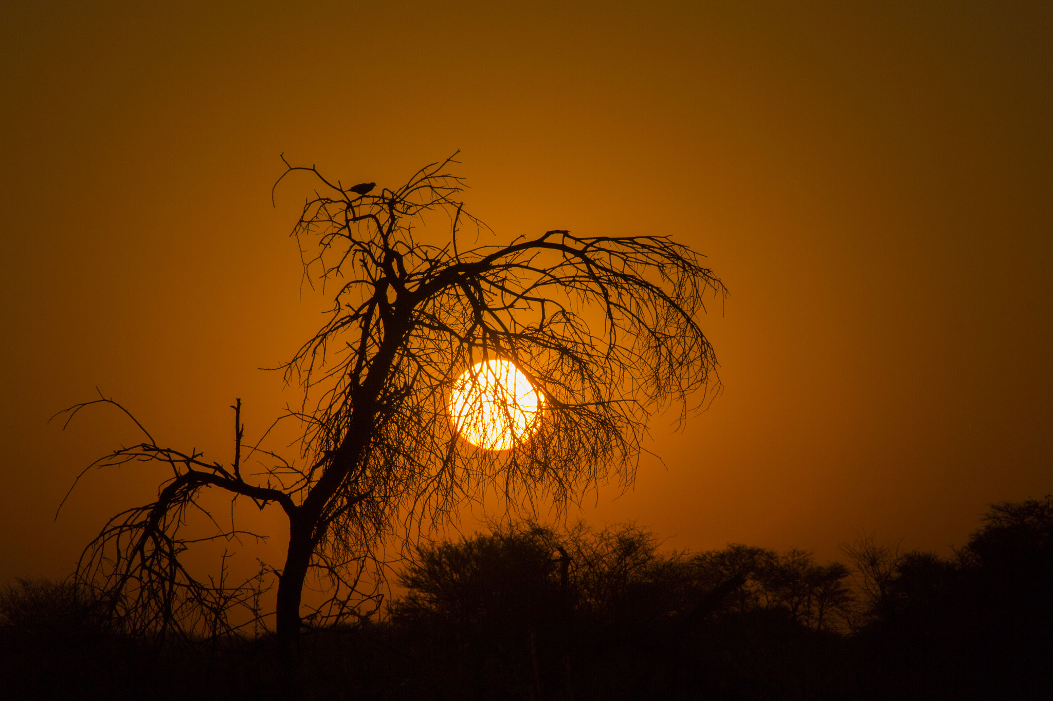 Canon EF 75-300mm F4.0-5.6 IS USM sample photo. Img photography