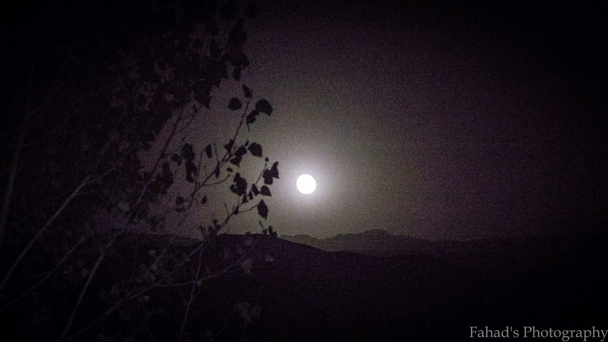 Sony 75-300mm F4.5-5.6 sample photo. Behind photography