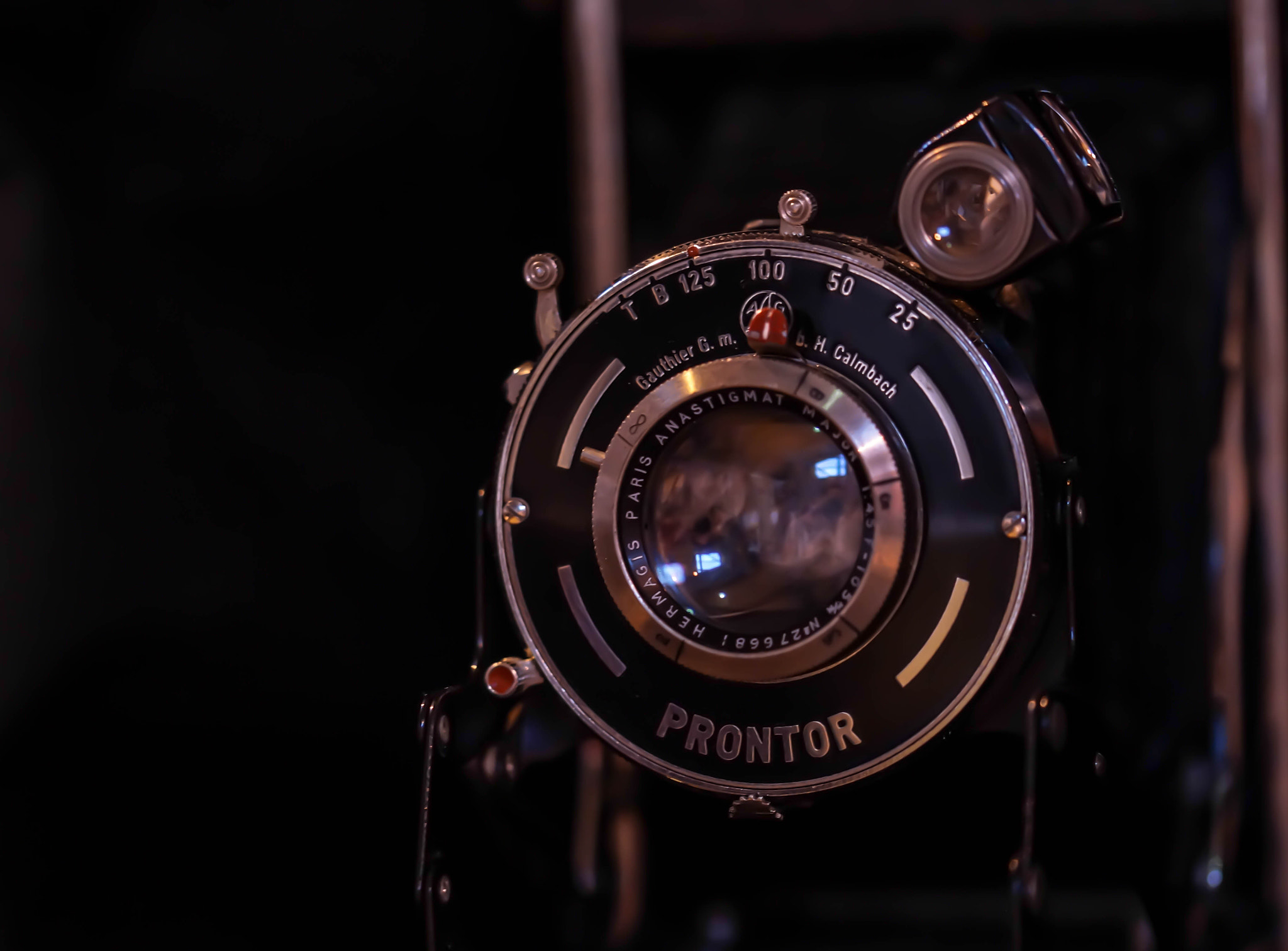 Sony SLT-A58 + 105mm F2.8 sample photo. Prontor photography