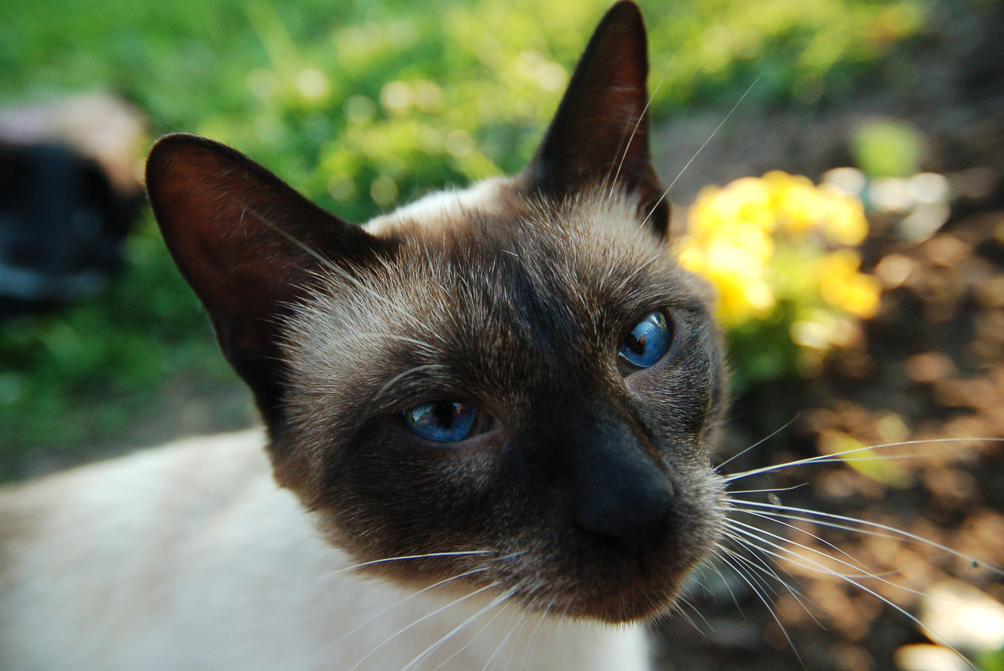 Nikon D50 sample photo. :3 photography