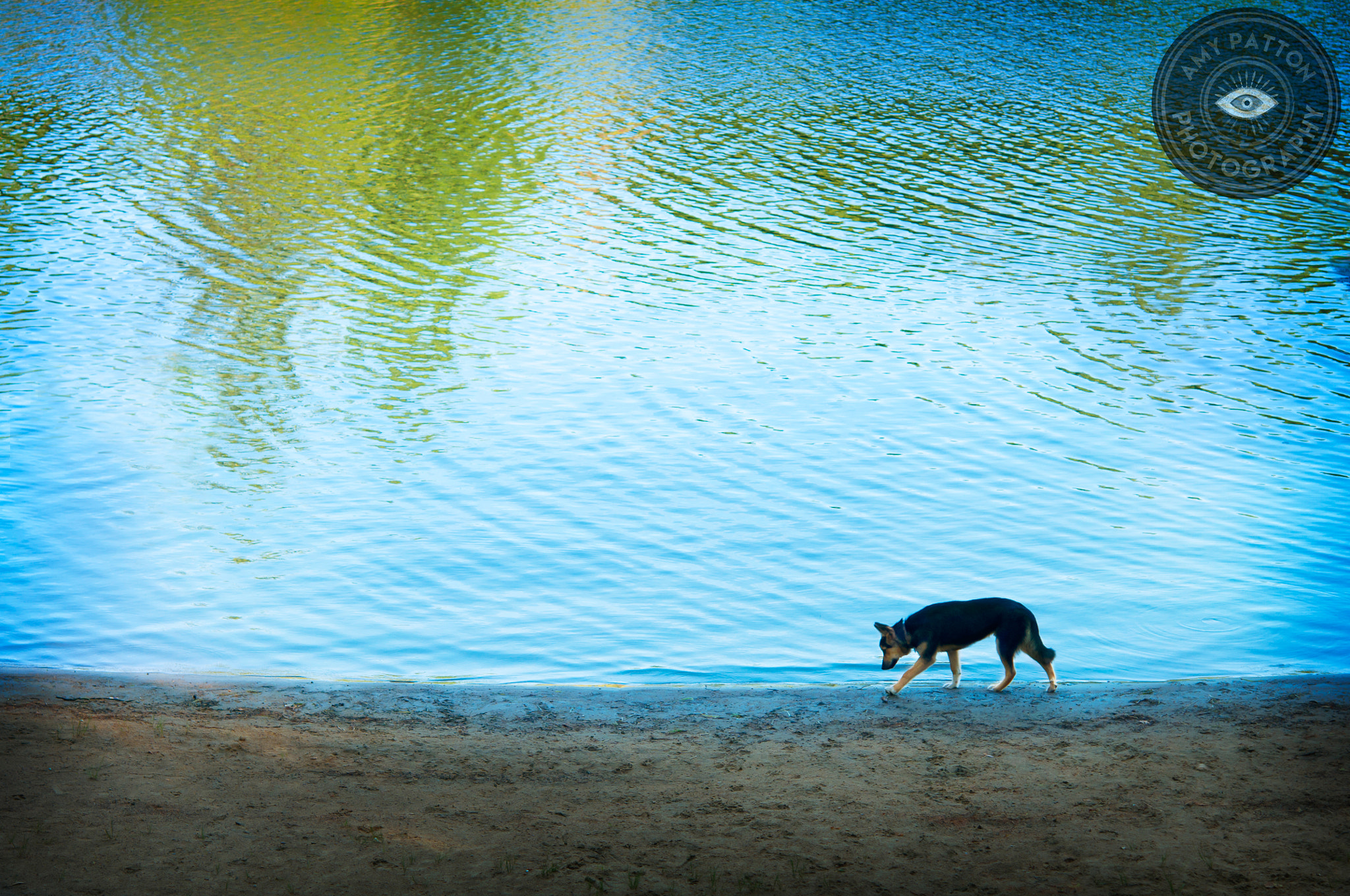 Nikon AF-S Micro-Nikkor 60mm F2.8G ED sample photo. I enjoy long walks on the beach... photography