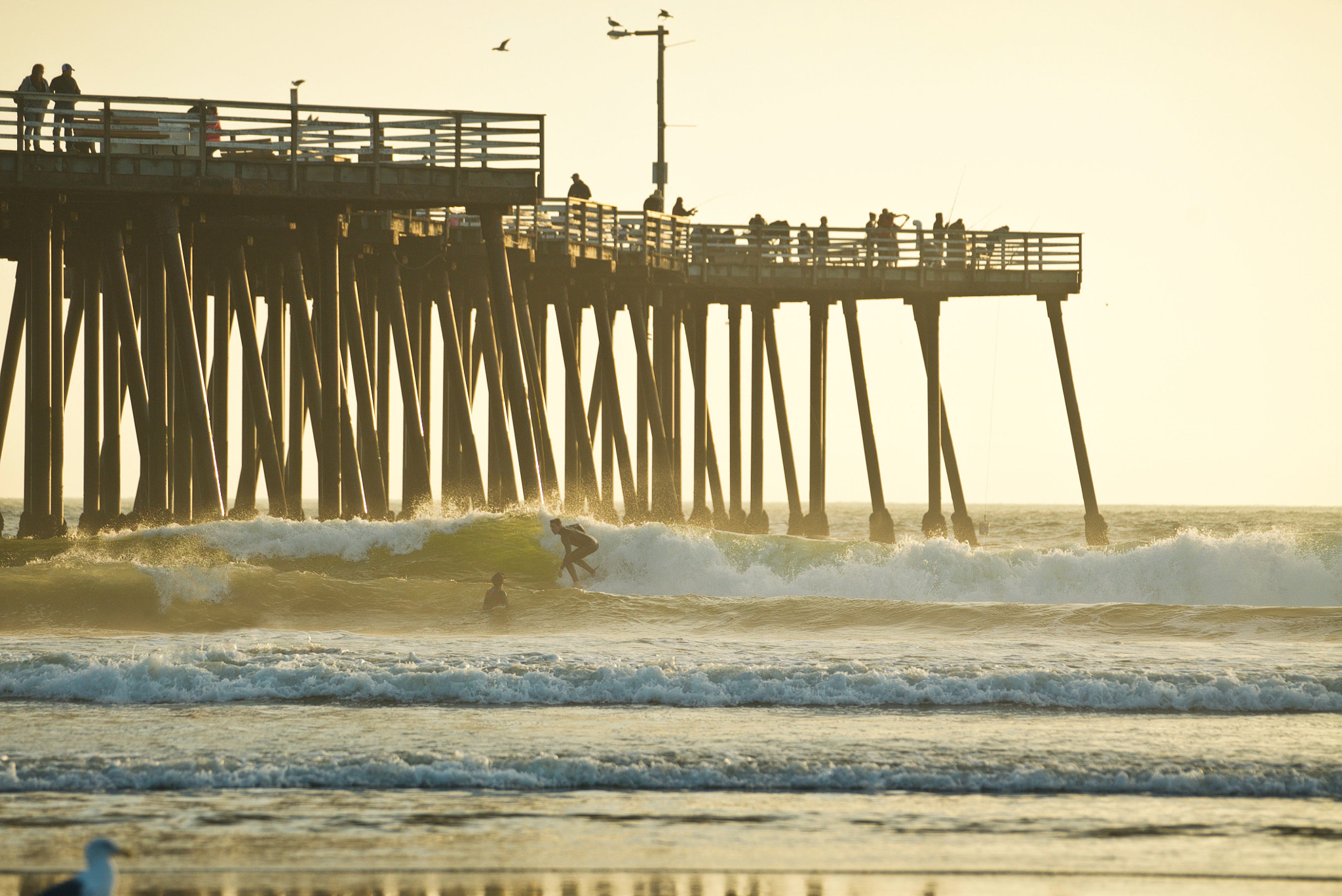 Sony a7S II + Sony 70-400mm F4-5.6 G SSM II sample photo. Sunset surf pismo pier photography