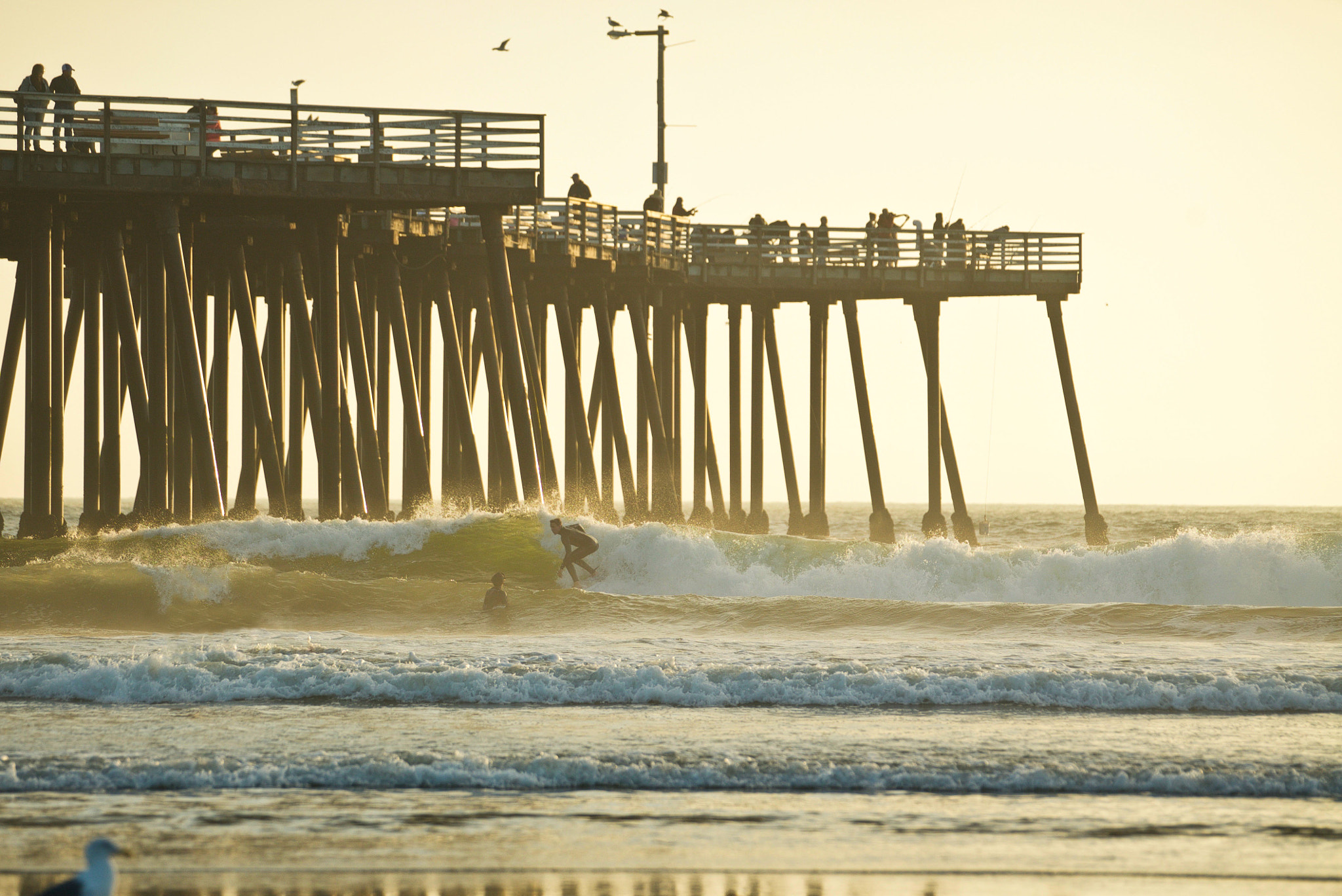Sony 70-400mm F4-5.6 G SSM II sample photo. Sunset surf pismo pier photography