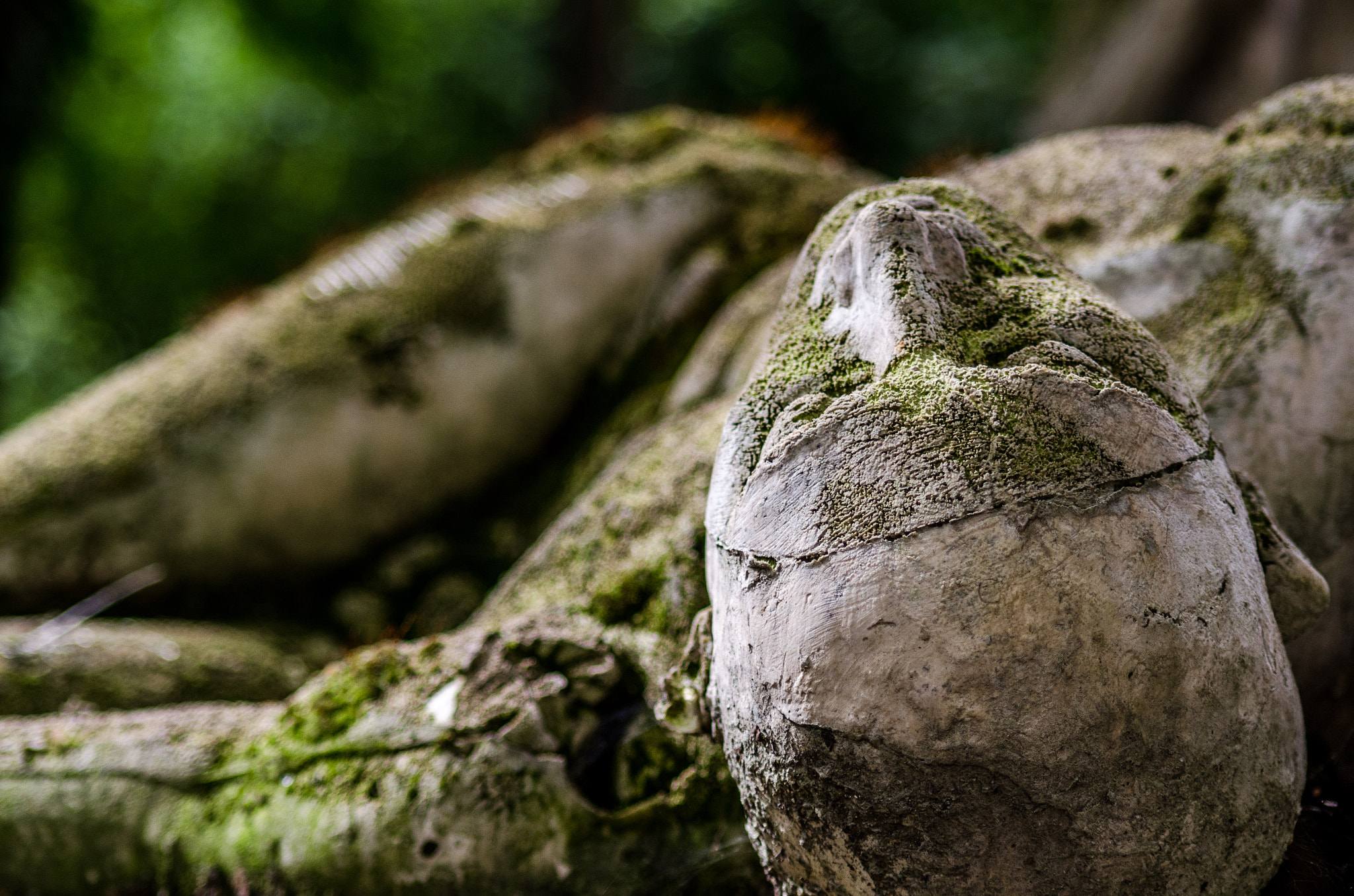 Nikon D7000 + AF Nikkor 70-210mm f/4-5.6 sample photo. Epres kert photography