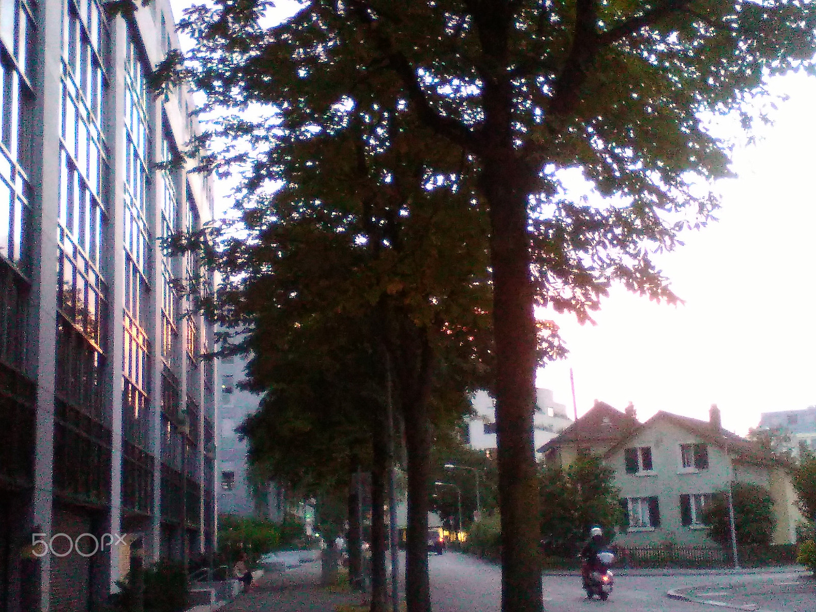 HUAWEI Y550-L01 sample photo. Sunset in the city photography