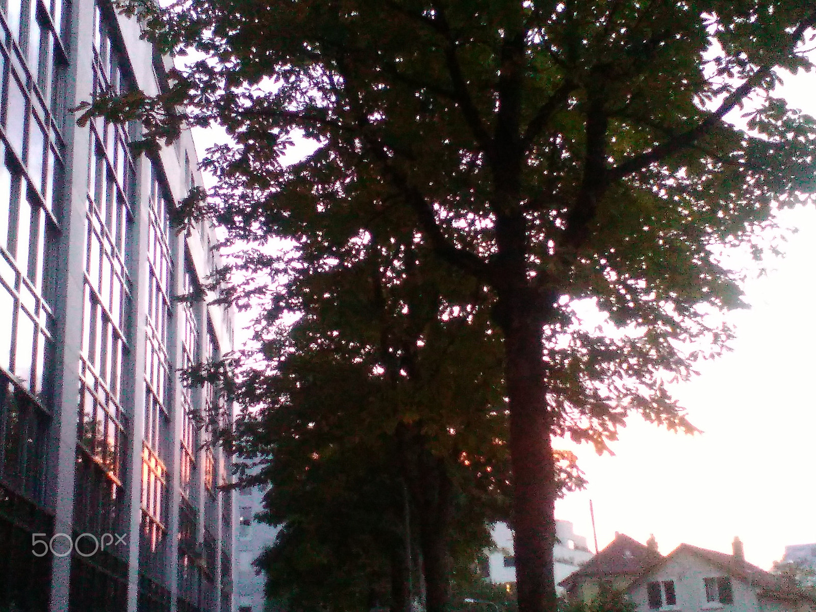 HUAWEI Y550-L01 sample photo. Sunset in the city photography