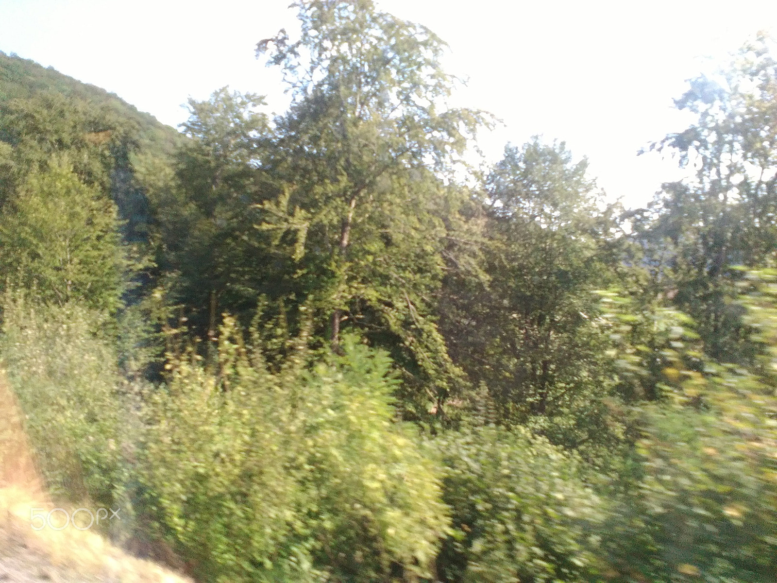 HUAWEI Y550-L01 sample photo. Landscape photography