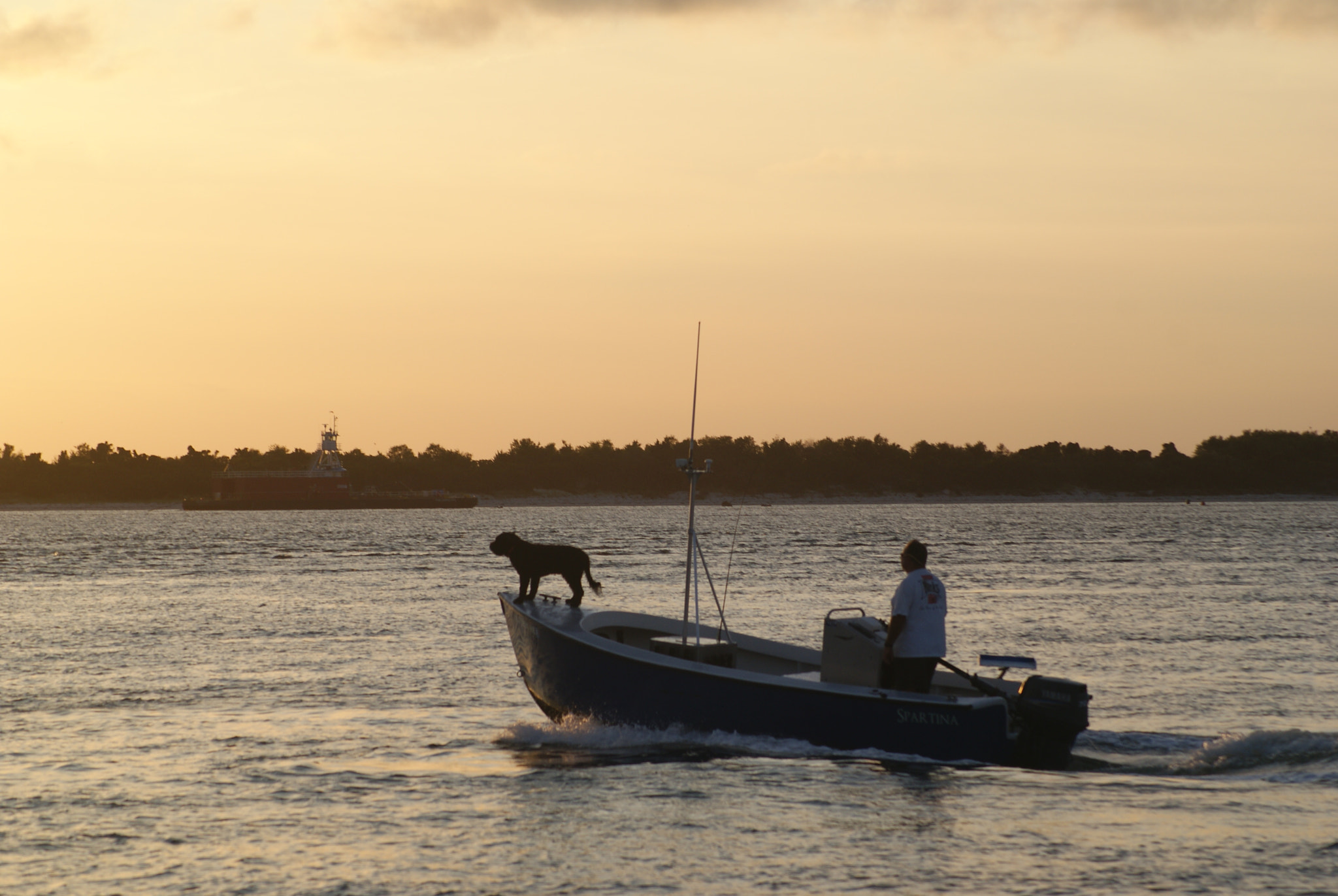 Sony Alpha DSLR-A200 sample photo. Boat dog photography