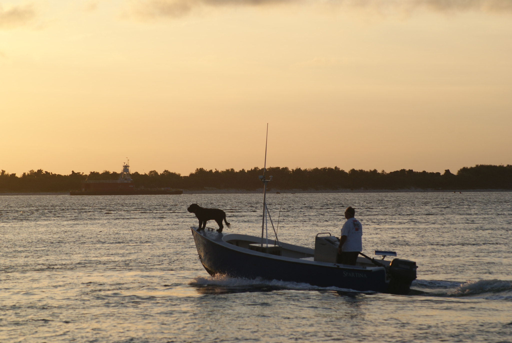 Sony Alpha DSLR-A200 + Sony DT 55-200mm F4-5.6 SAM sample photo. Boat dog photography