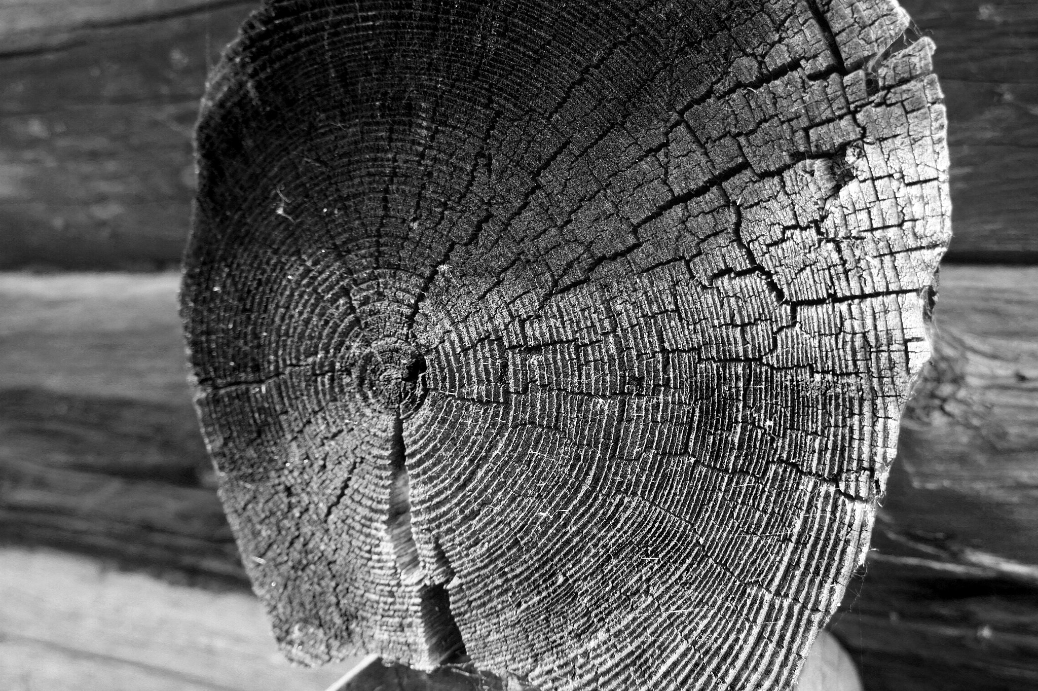 Sony Alpha NEX-3 + Sony E 18-55mm F3.5-5.6 OSS sample photo. Wooden section photography